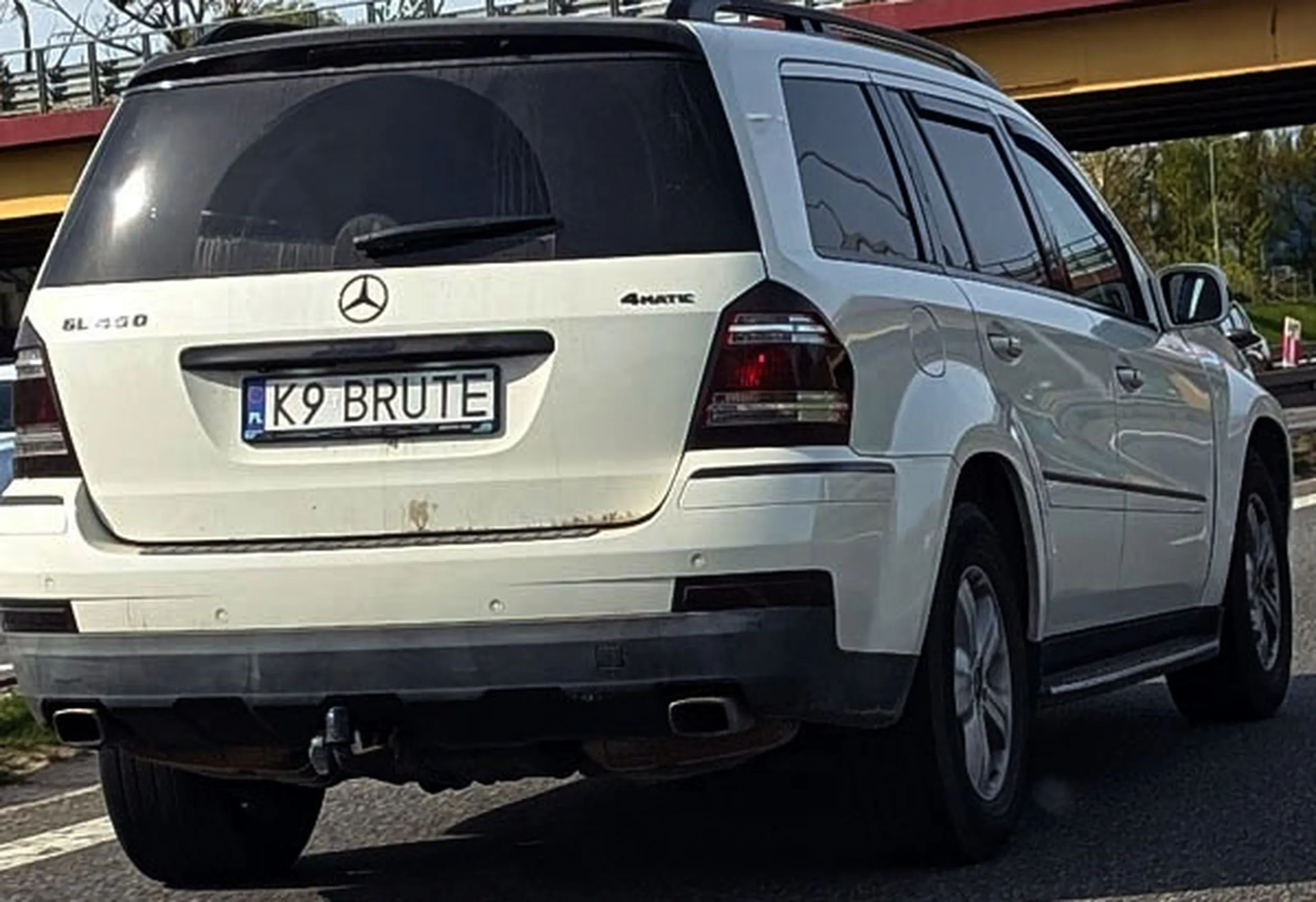 Fajny numer, blacha K9 BRUTE