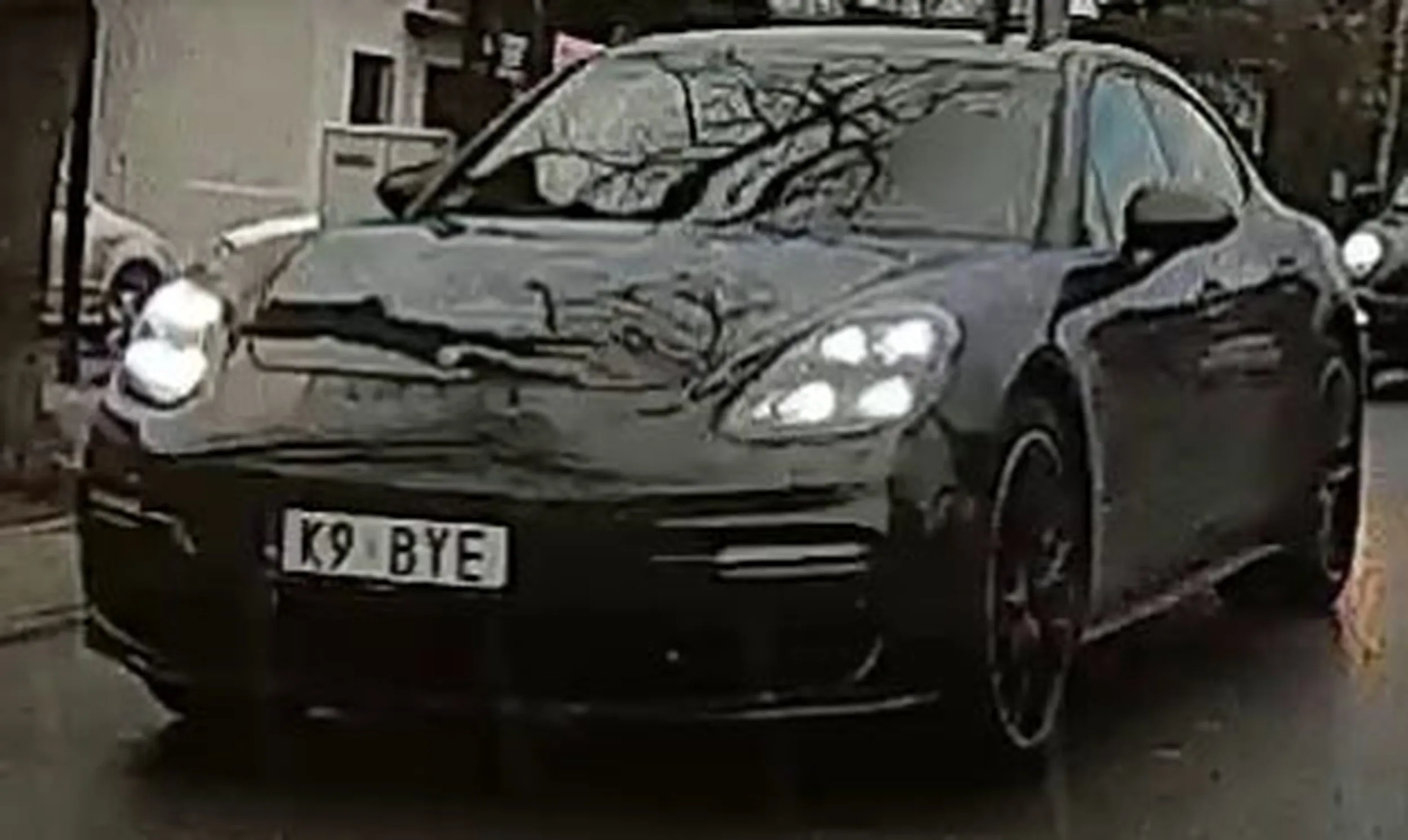 Fajny numer, blacha K9 BYE