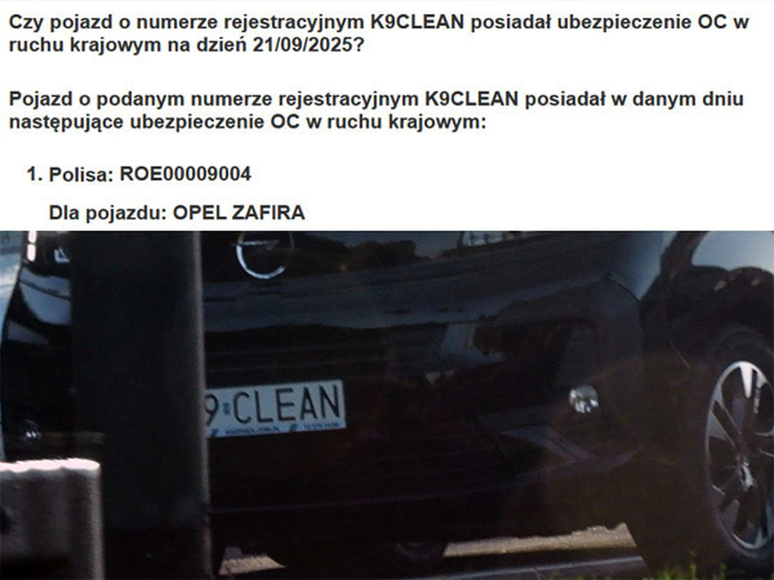 Fajny numer, blacha K9 CLEAN