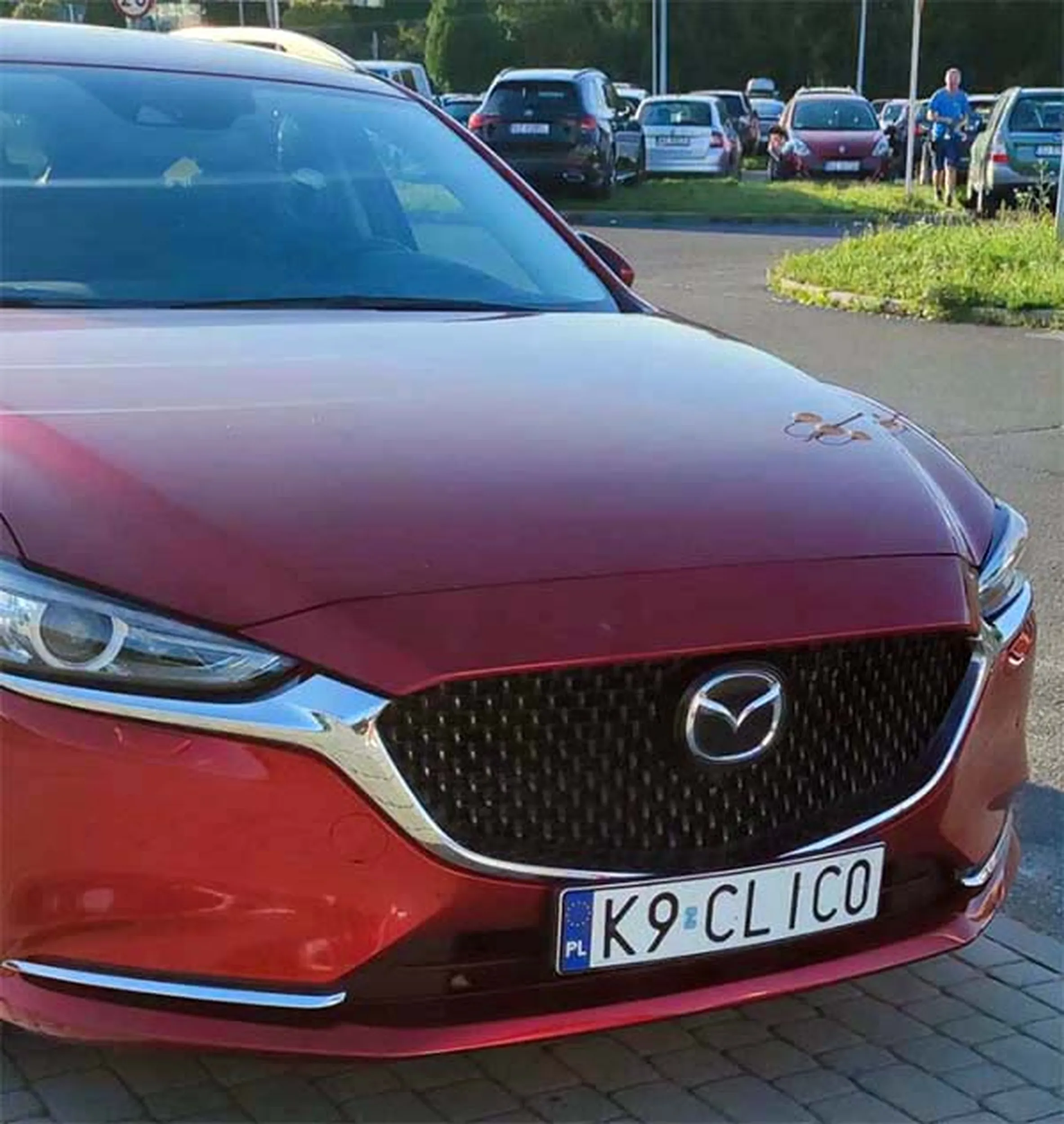 Fajny numer, blacha K9 CLIC0