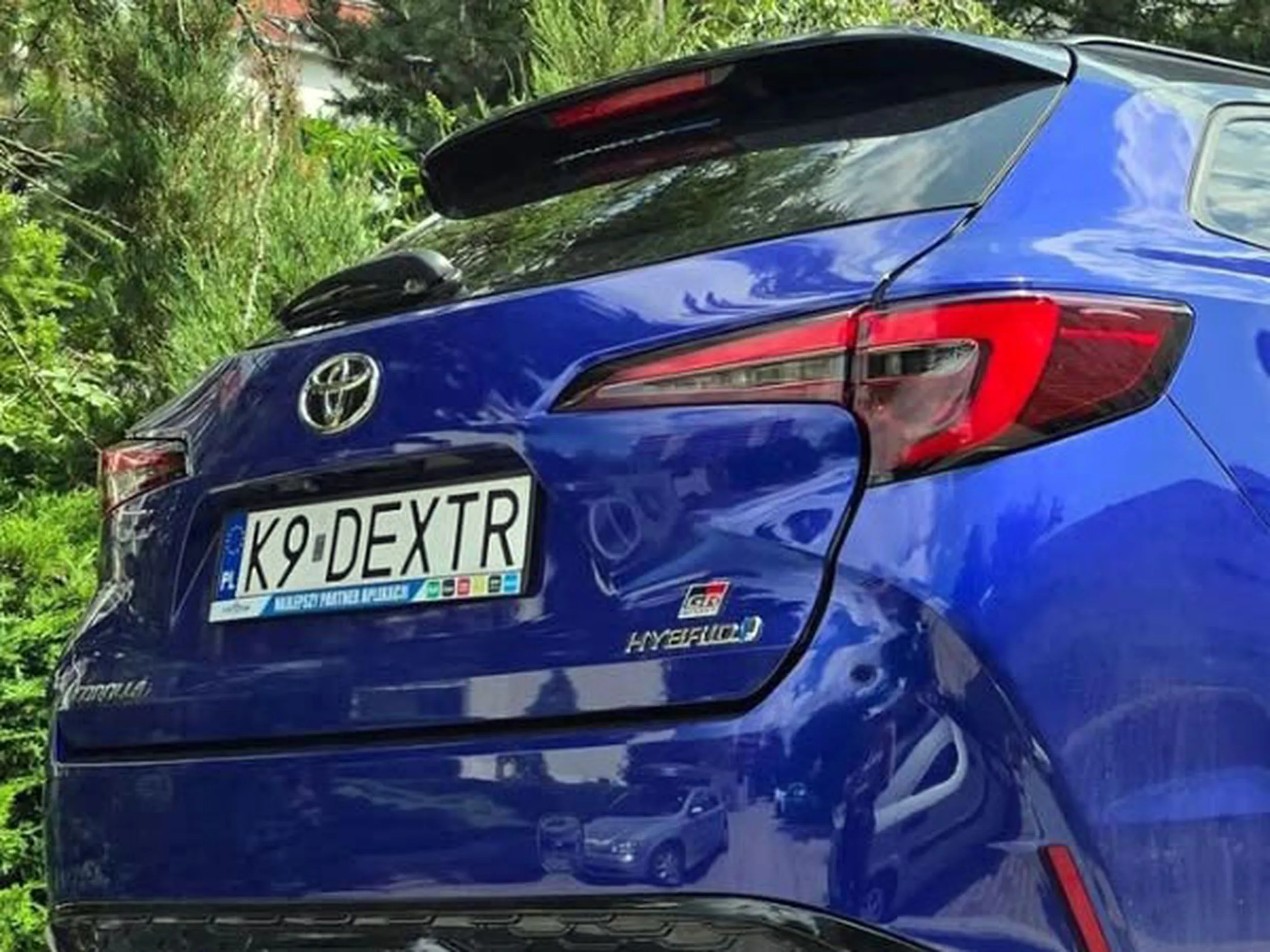 Fajny numer, blacha K9 DEXTR