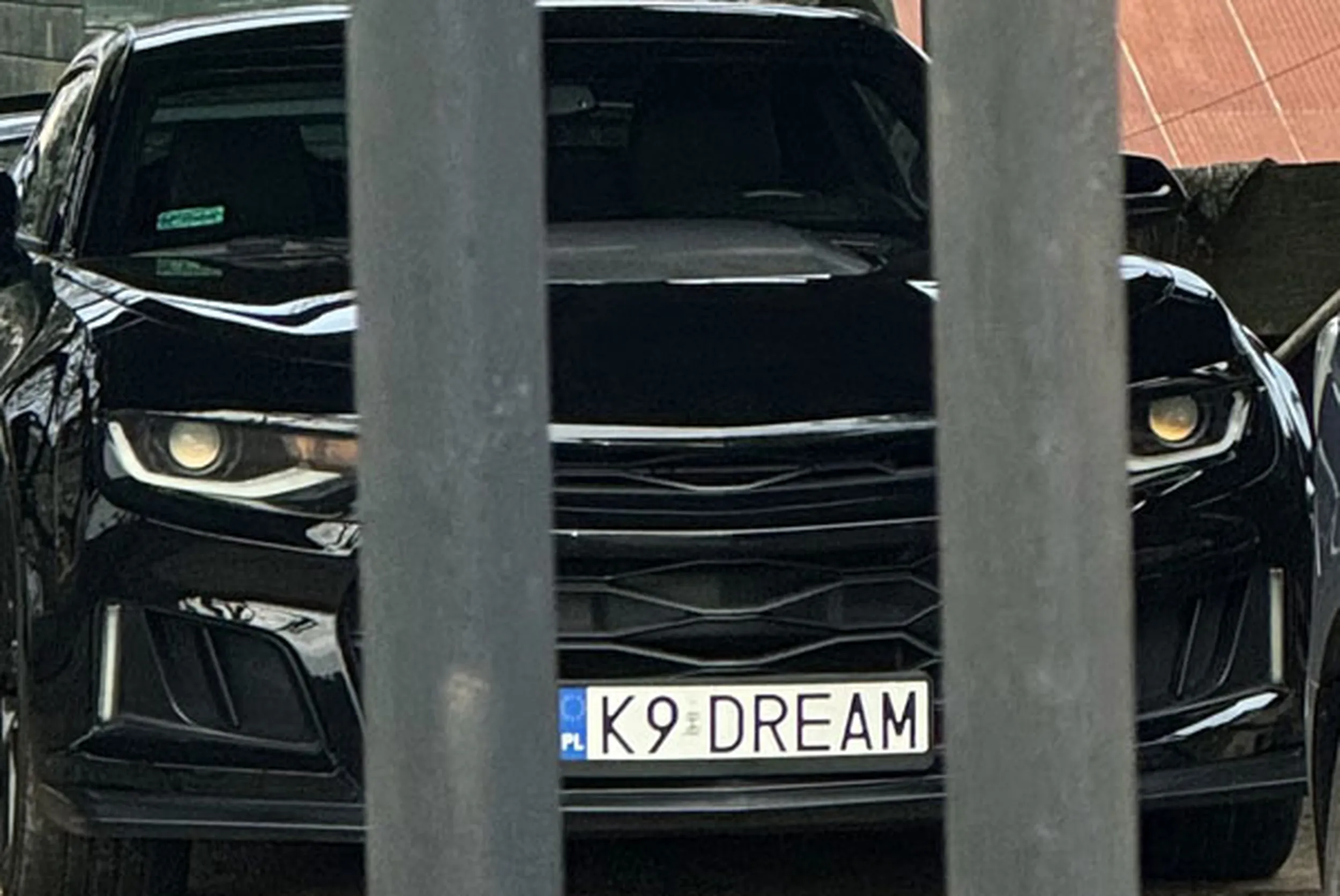 Fajny numer, blacha K9 DREAM