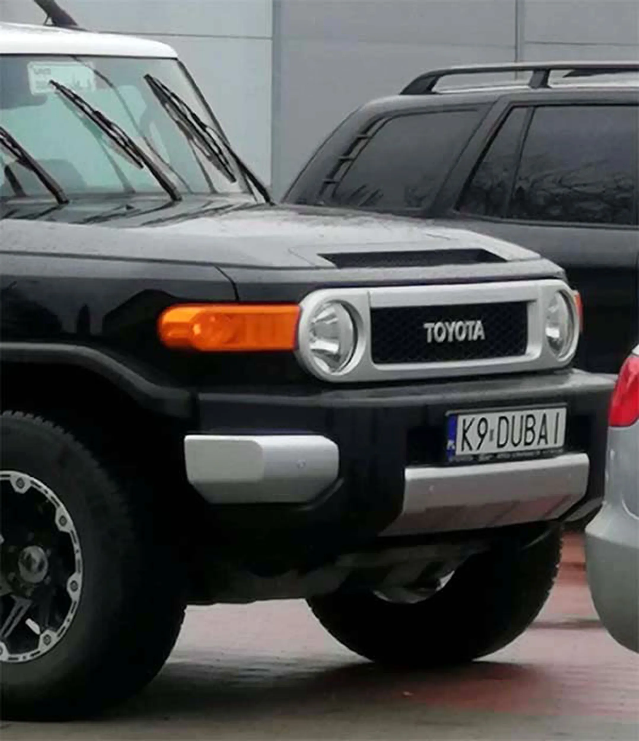 Fajny numer, blacha K9 DUBAI