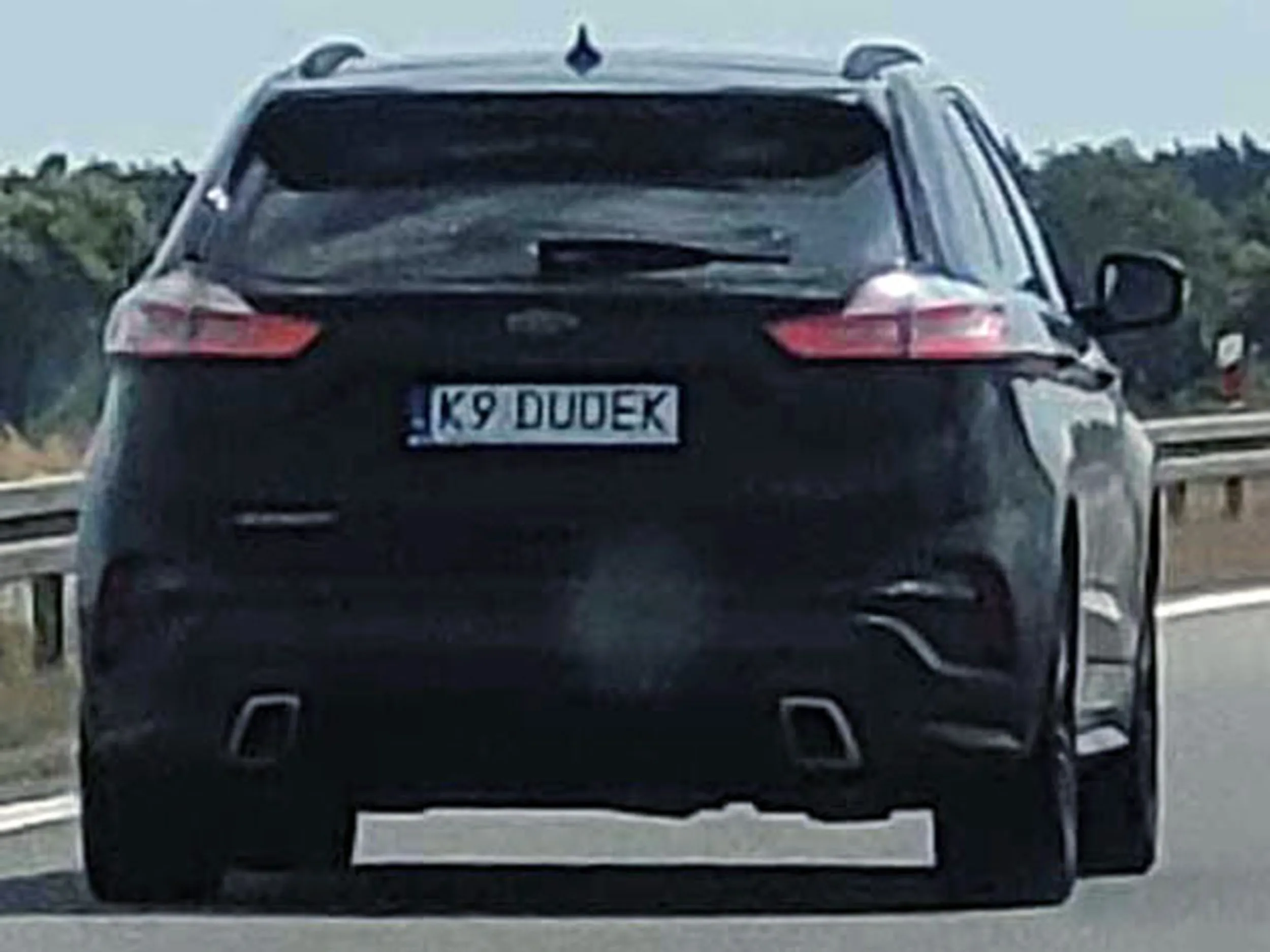 Fajny numer, blacha K9 DUDEK