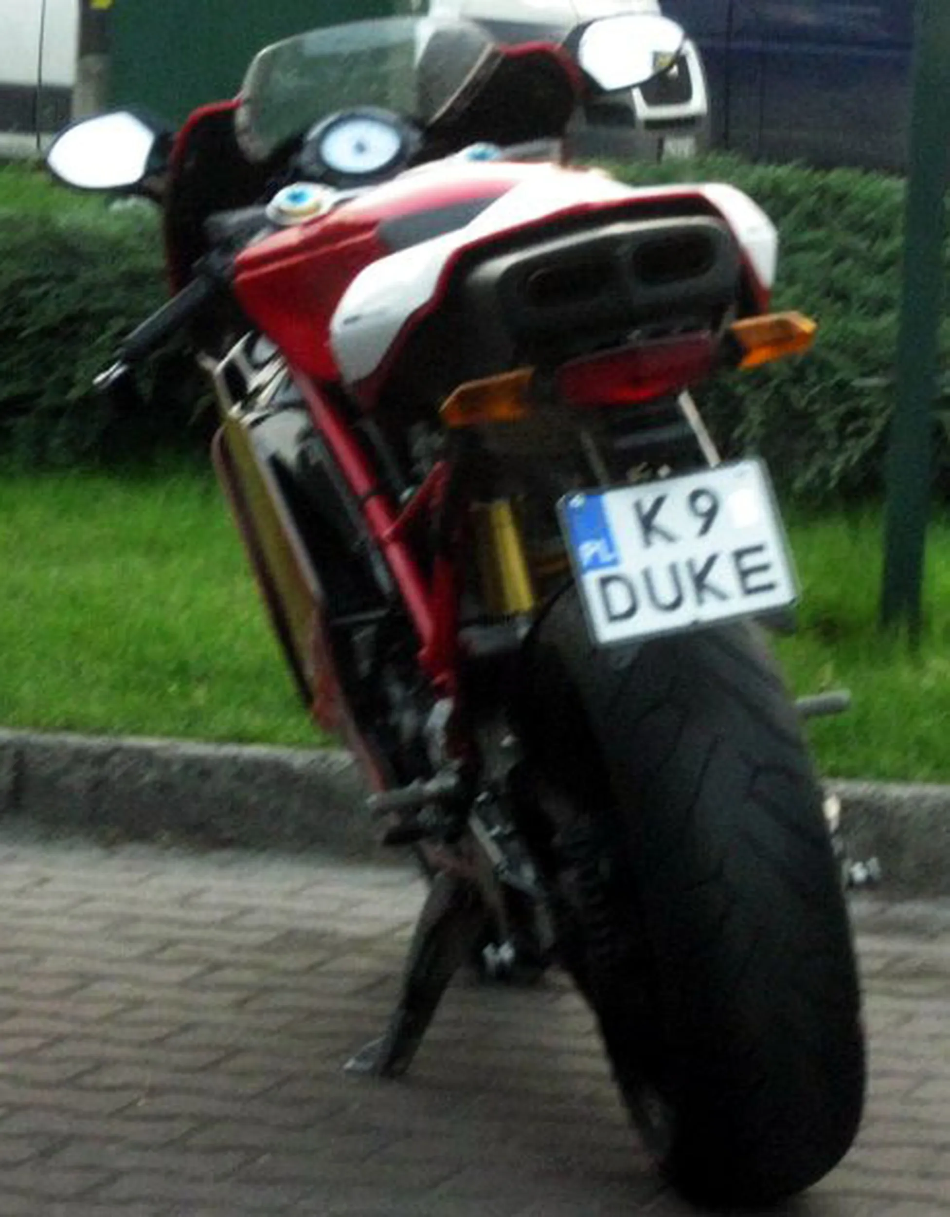 Fajny numer, blacha K9 DUKE