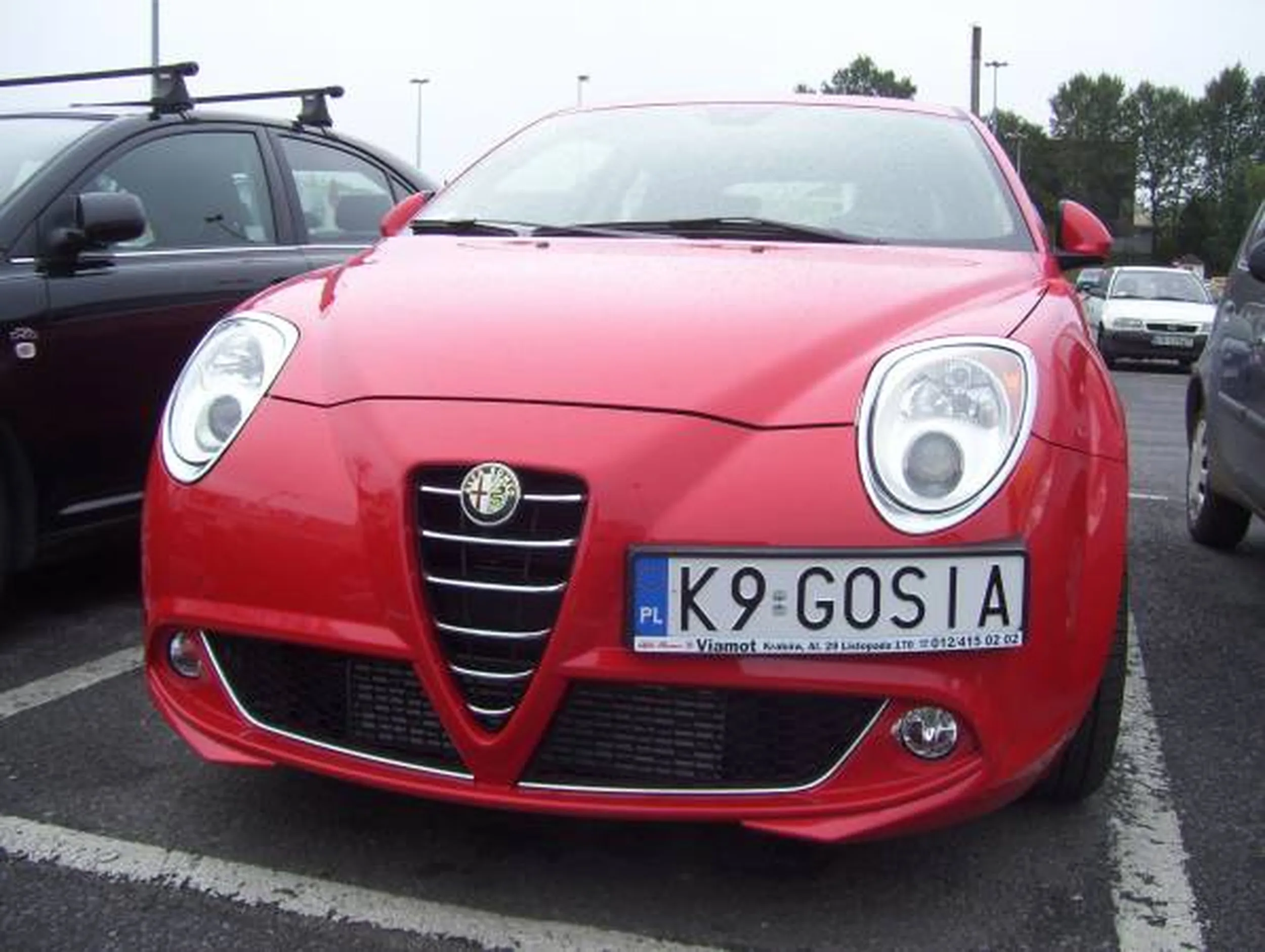 Fajny numer, blacha K9 GOSIA