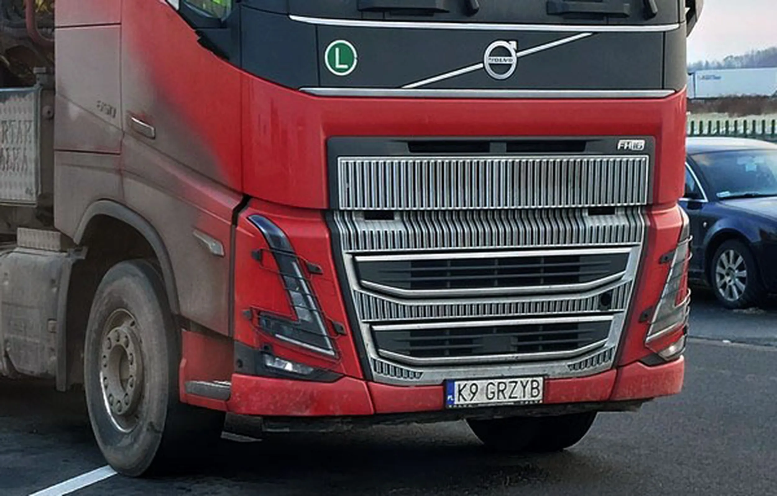 Fajny numer, blacha K9 GRZYB