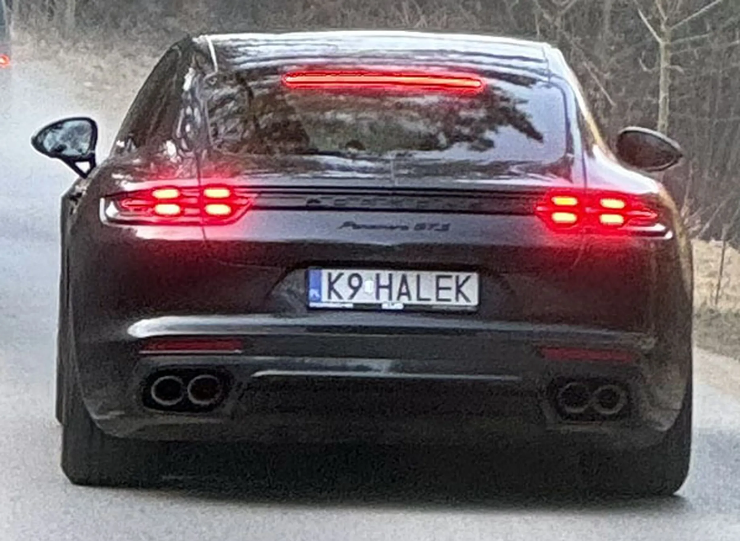 Fajny numer, blacha K9 HALEK