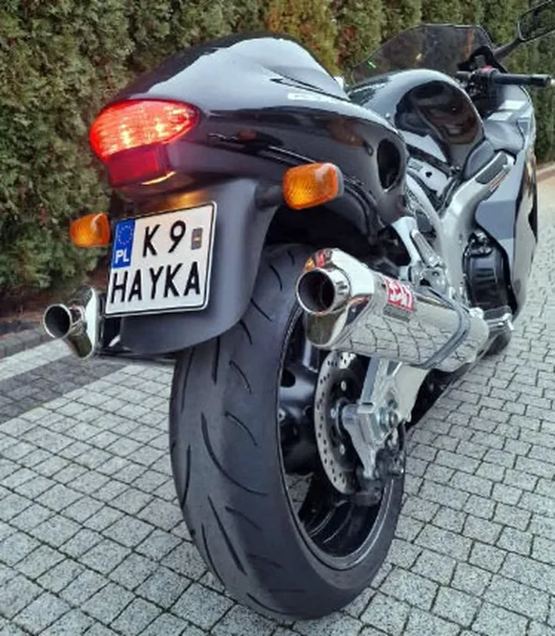 Fajny numer, blacha K9 HAYKA