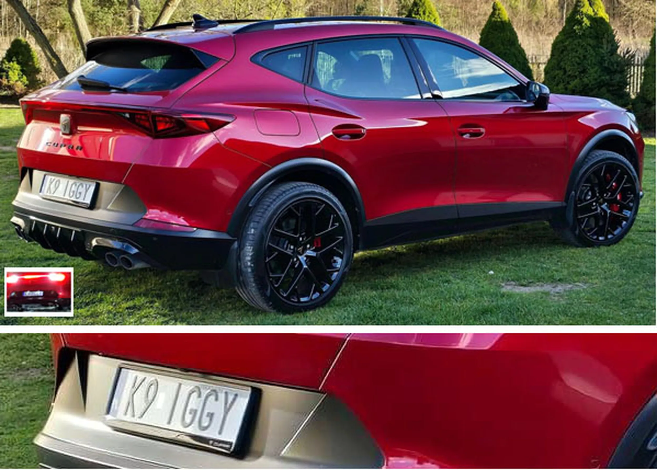 Fajny numer, blacha K9 IGGY