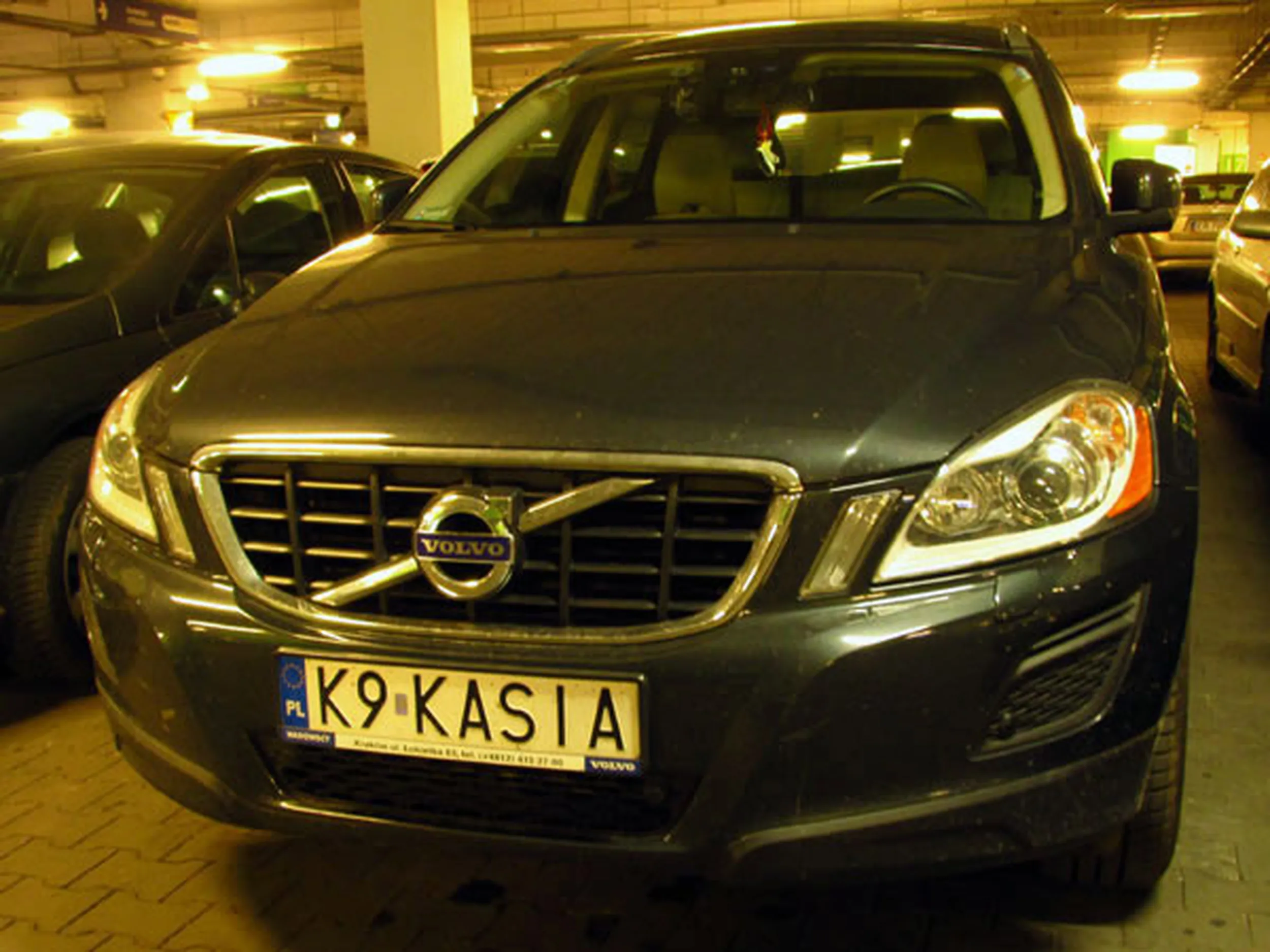 Fajny numer, blacha K9 KASIA