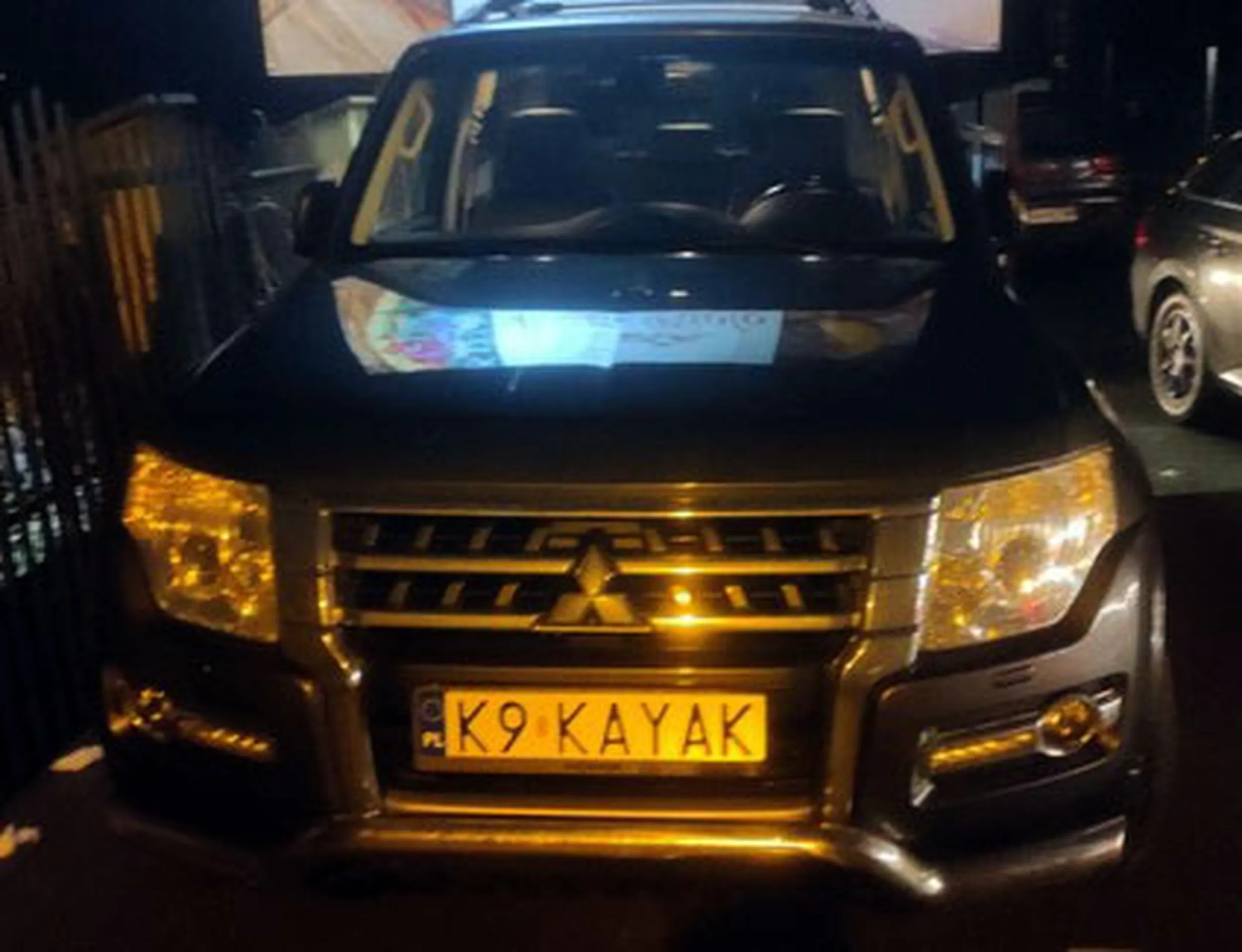 Fajny numer, blacha K9 KAYAK