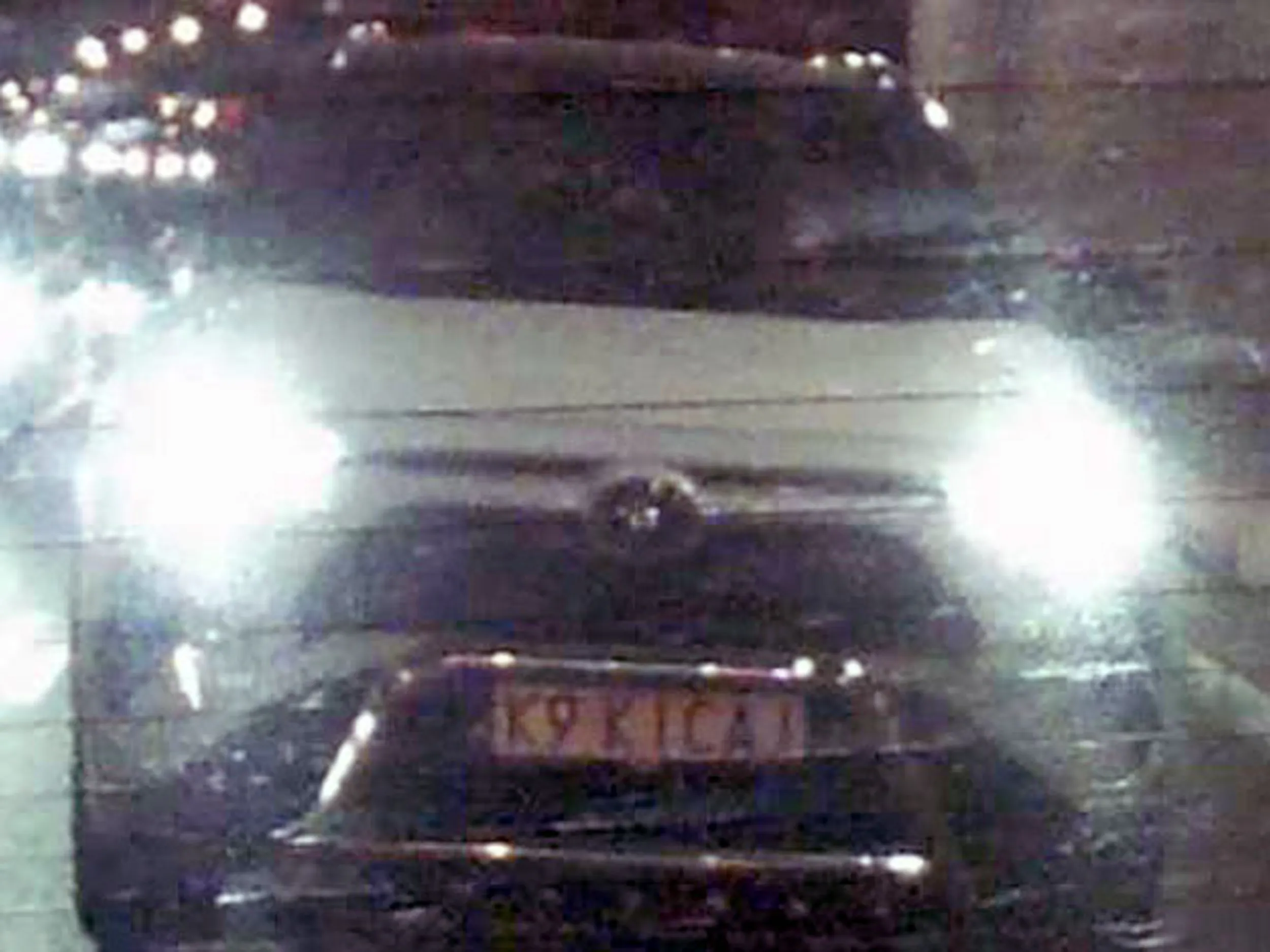 Fajny numer, blacha K9 KICAJ