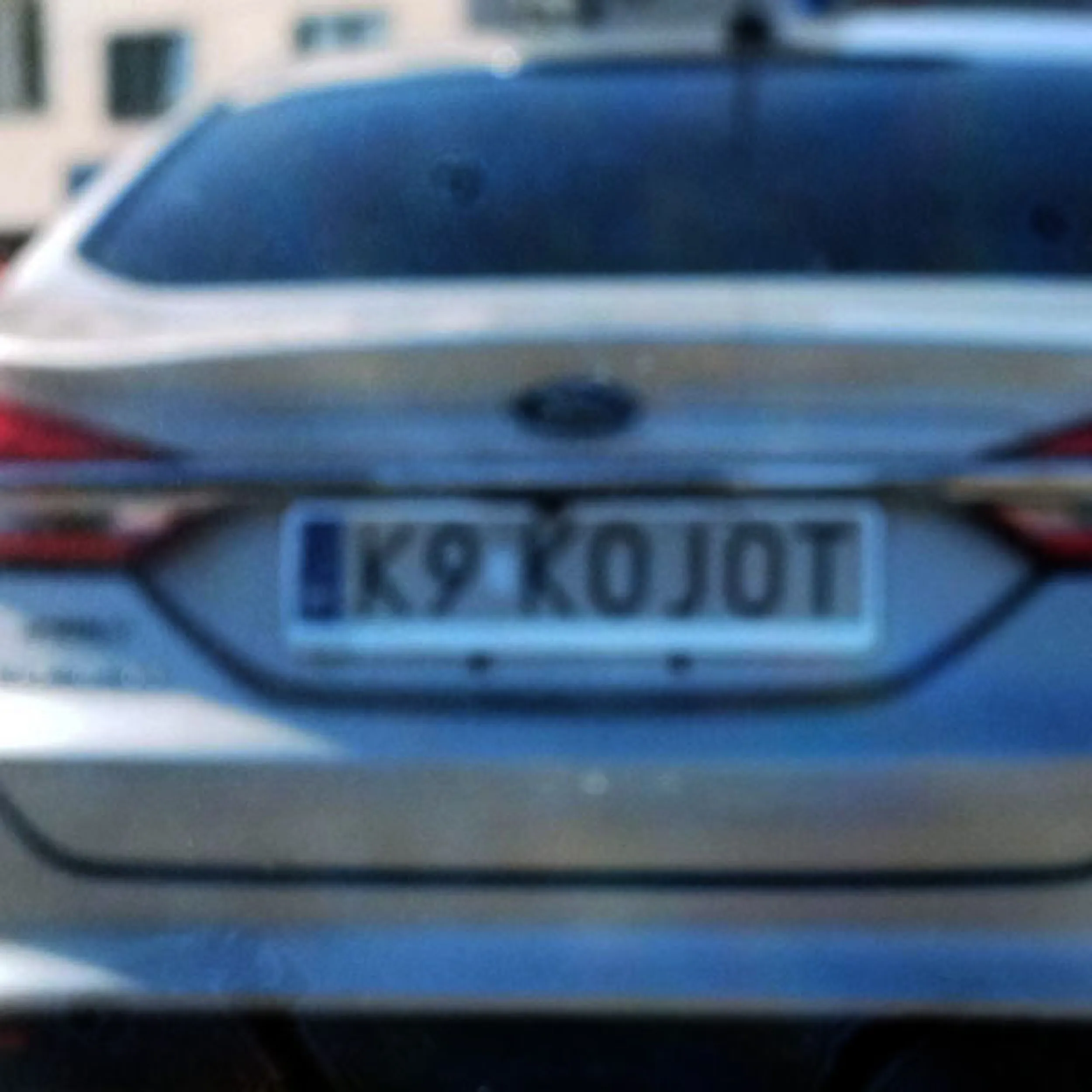 Fajny numer, blacha K9 KOJOT