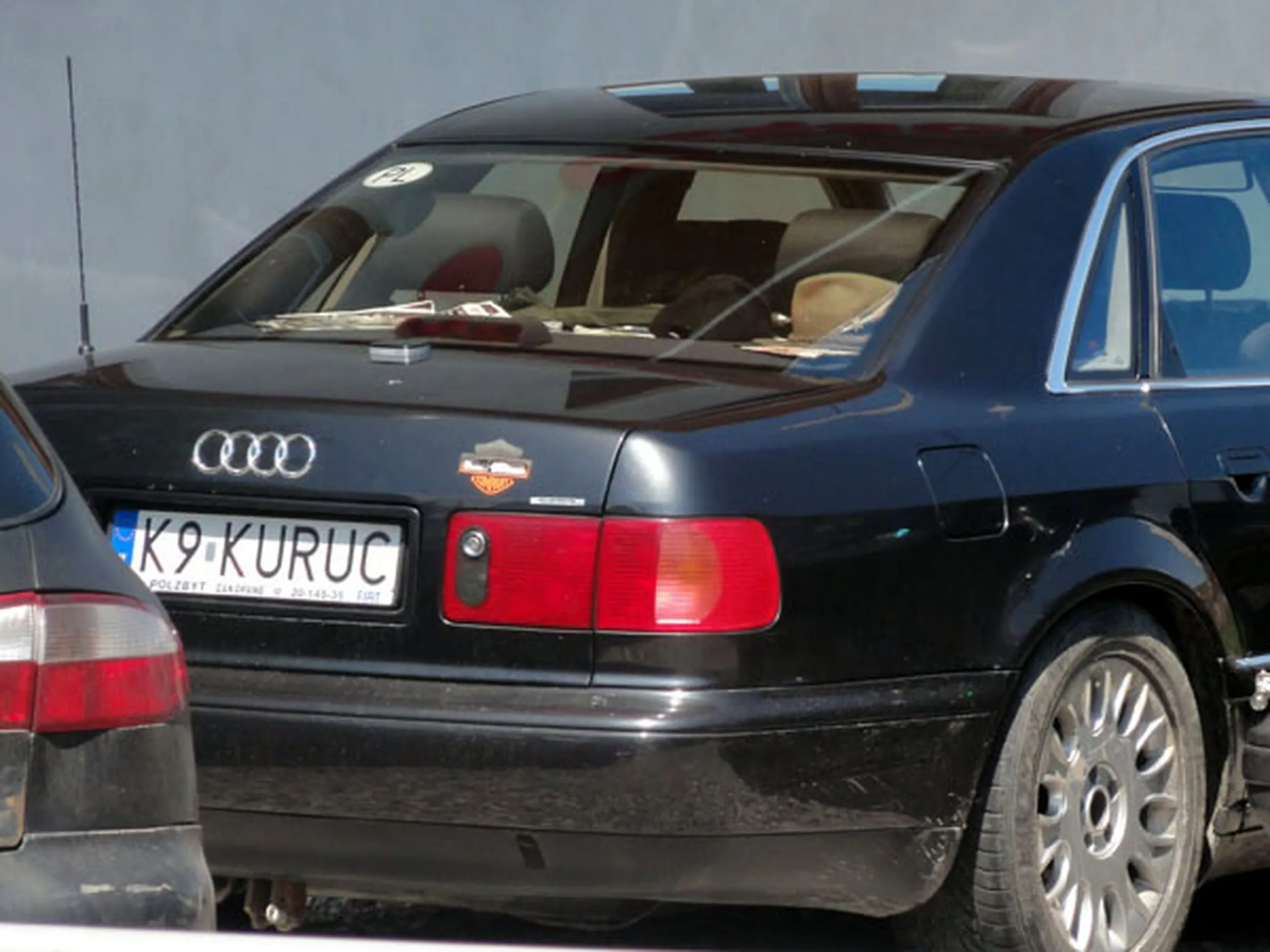 Fajny numer, blacha K9 KURUC