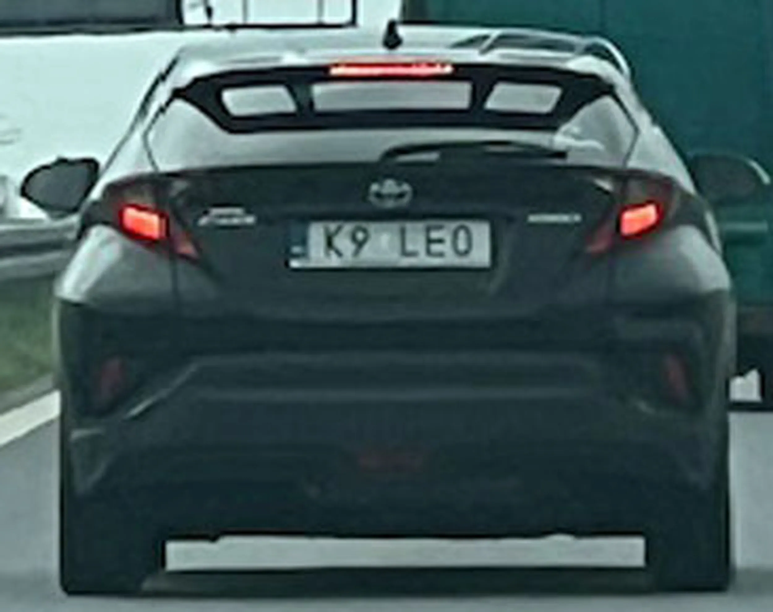 Fajny numer, blacha K9 LEO