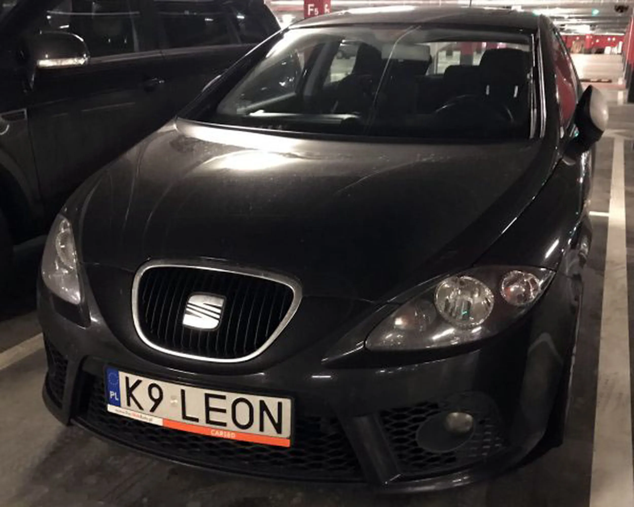 Fajny numer, blacha K9 LEON