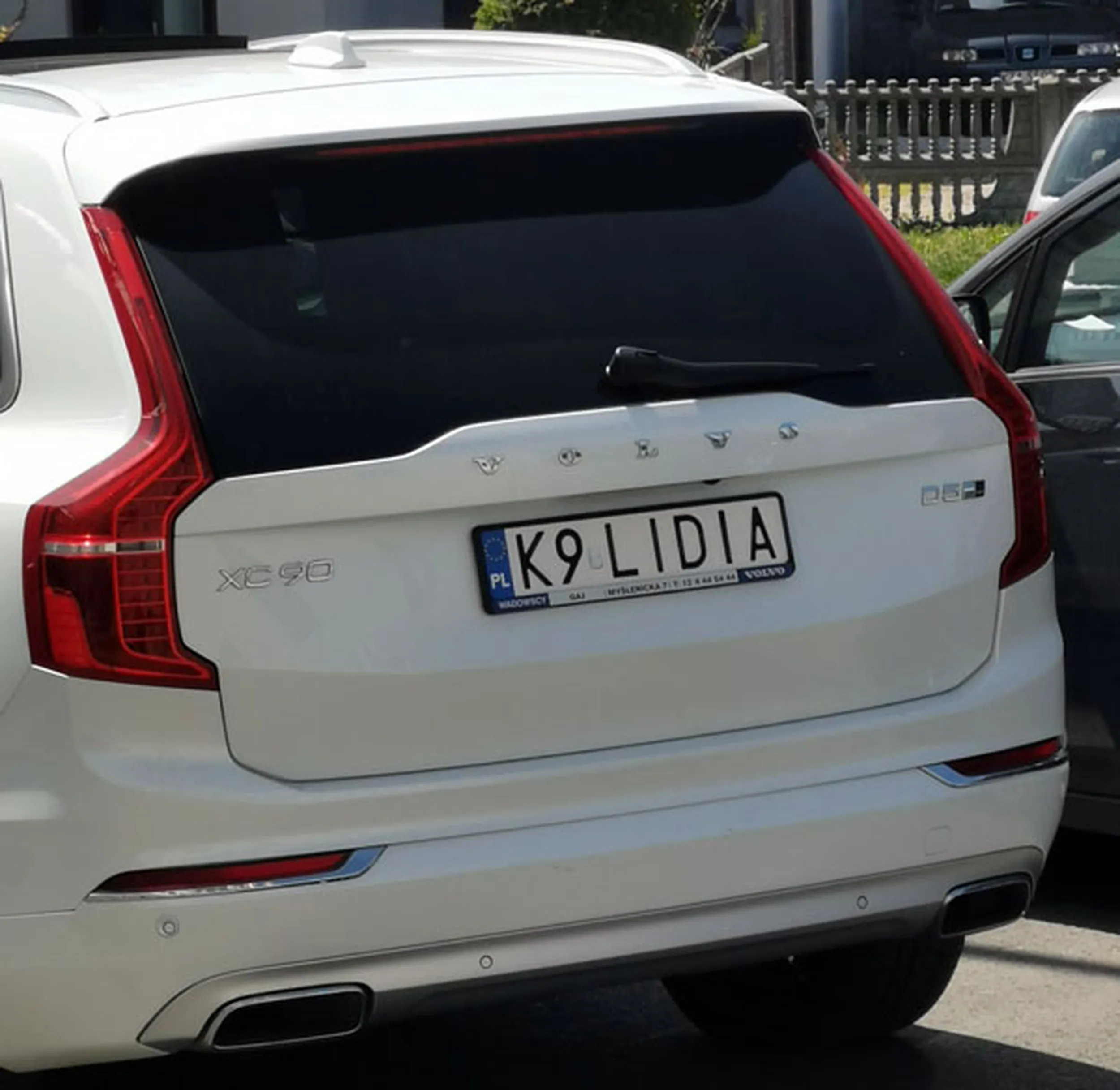 Fajny numer, blacha K9 LIDIA