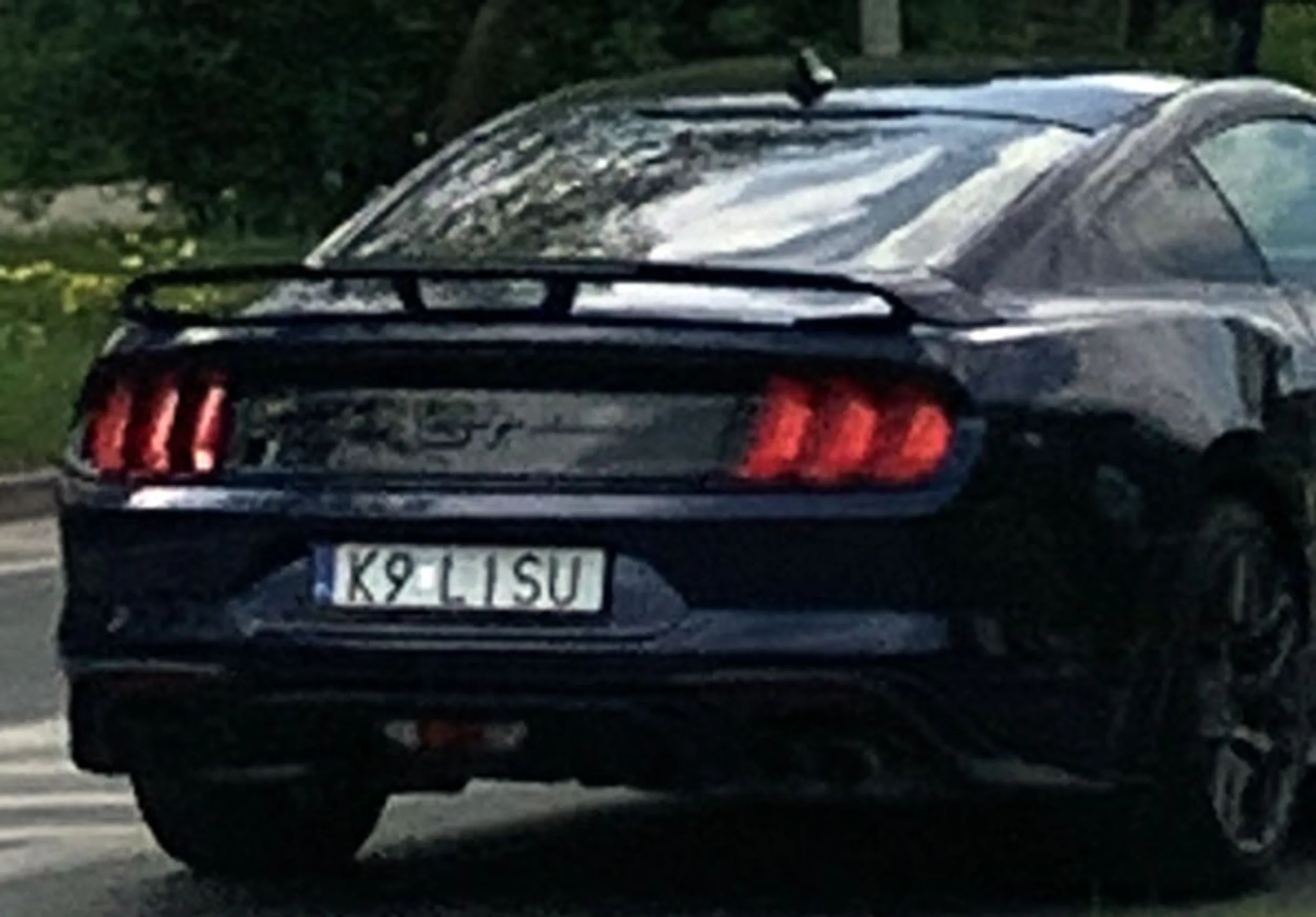 Fajny numer, blacha K9 LISU