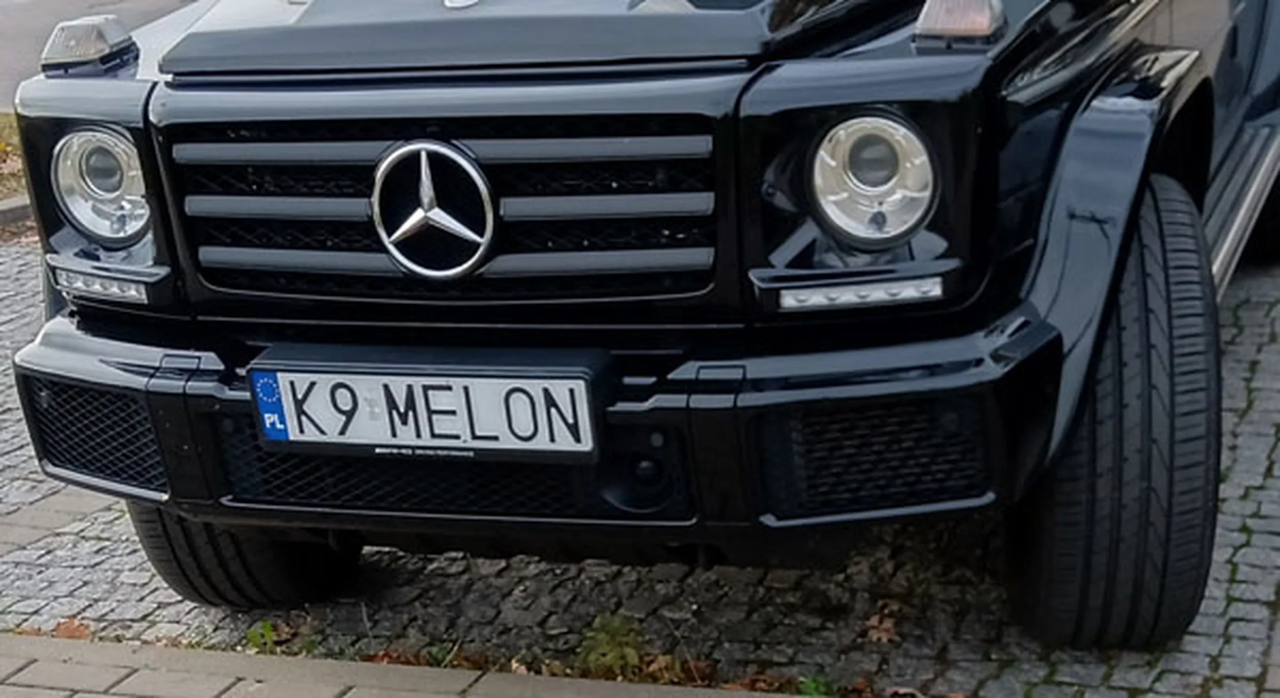 Fajny numer, blacha K9 MELON