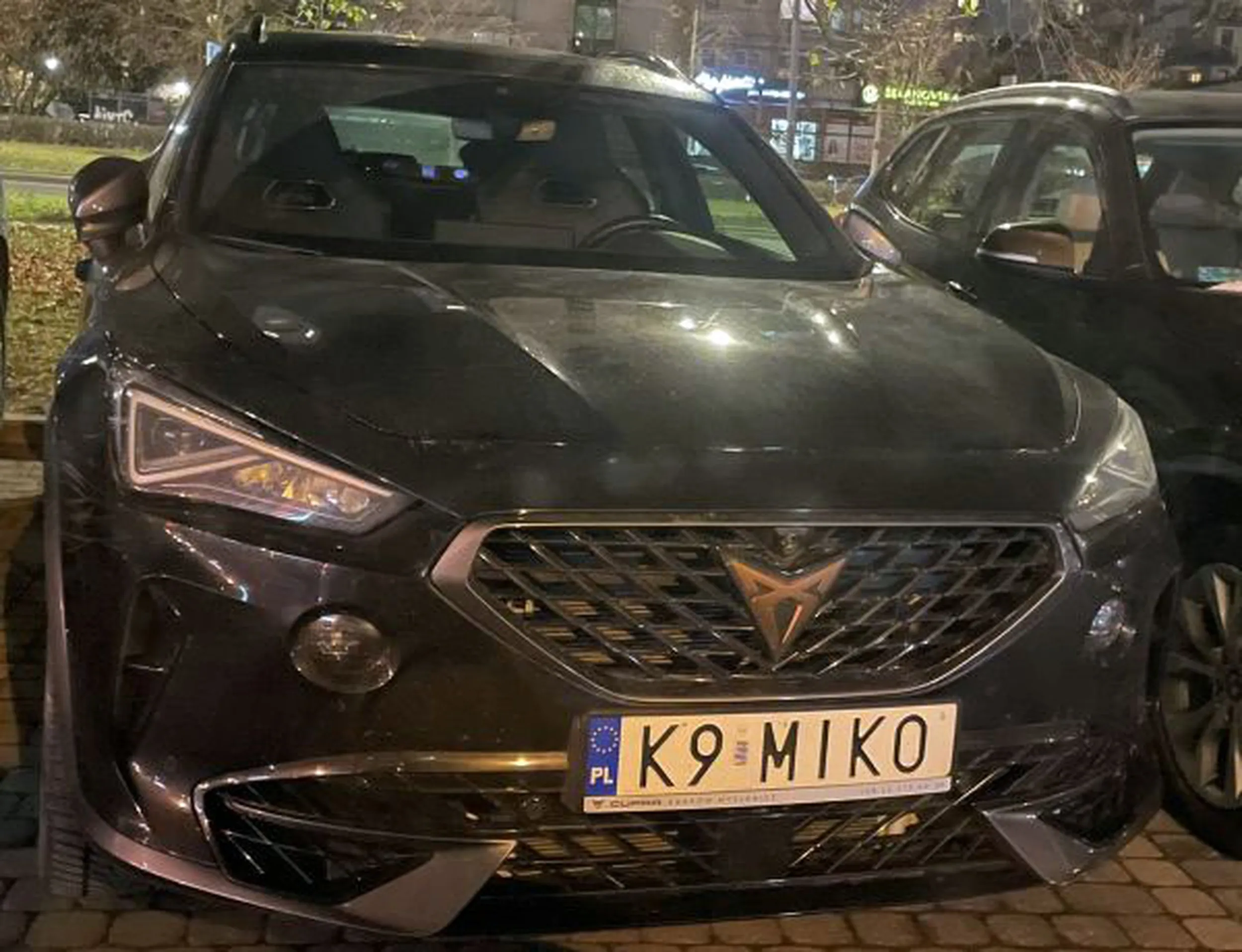 Fajny numer, blacha K9 MIKO