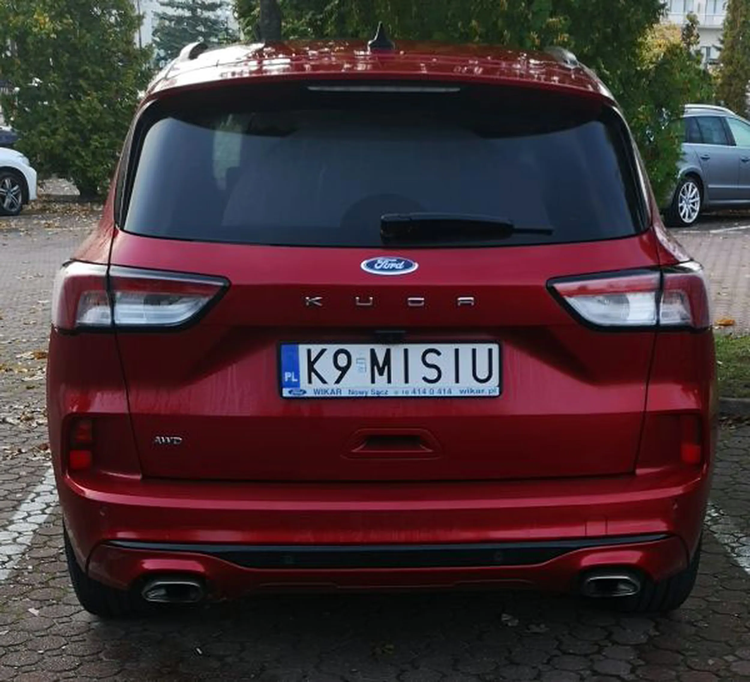 Fajny numer, blacha K9 MISIU