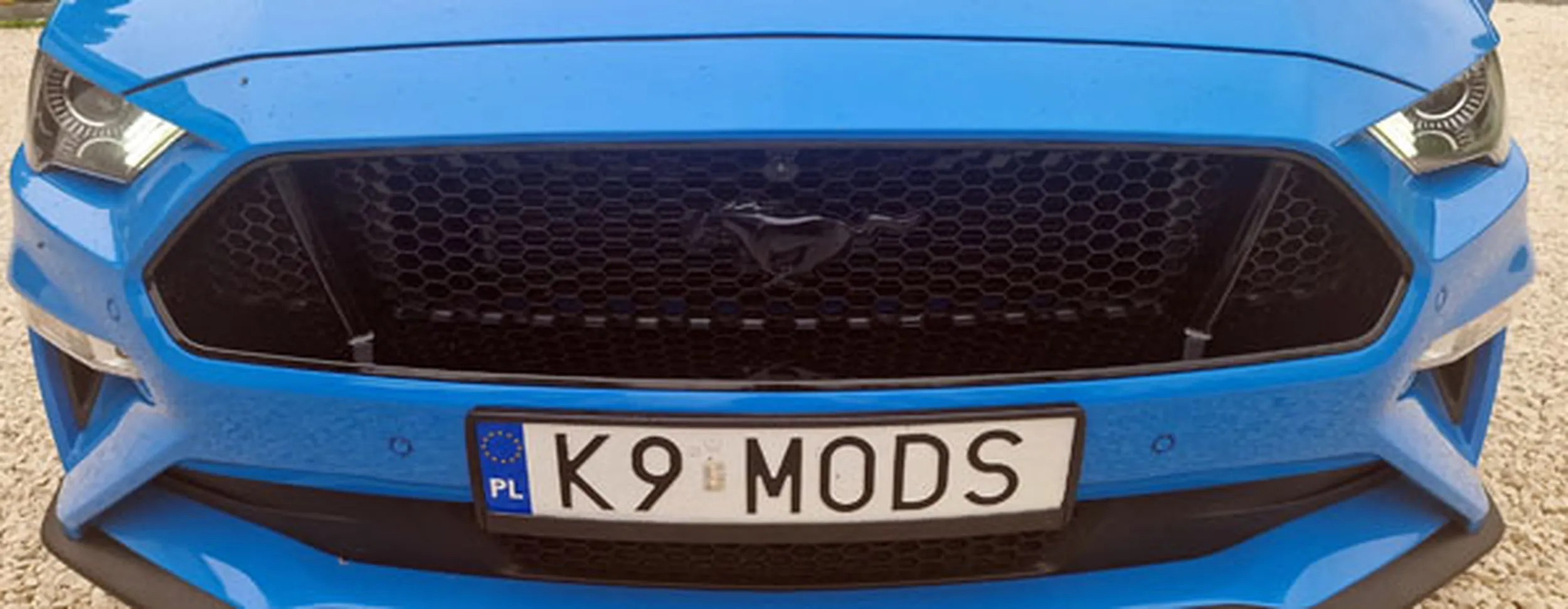 Fajny numer, blacha K9 MODS