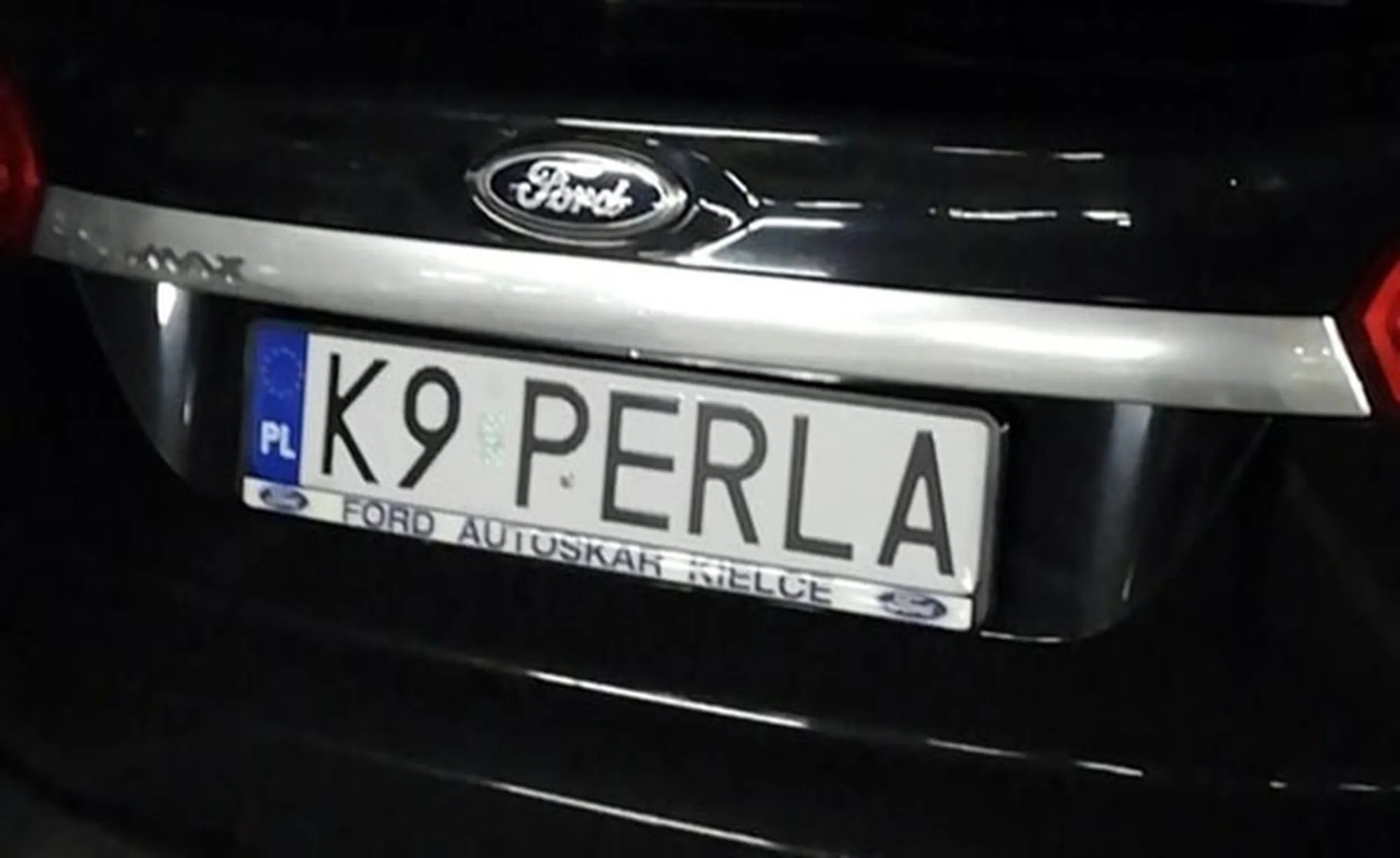 Fajny numer, blacha K9 PERLA