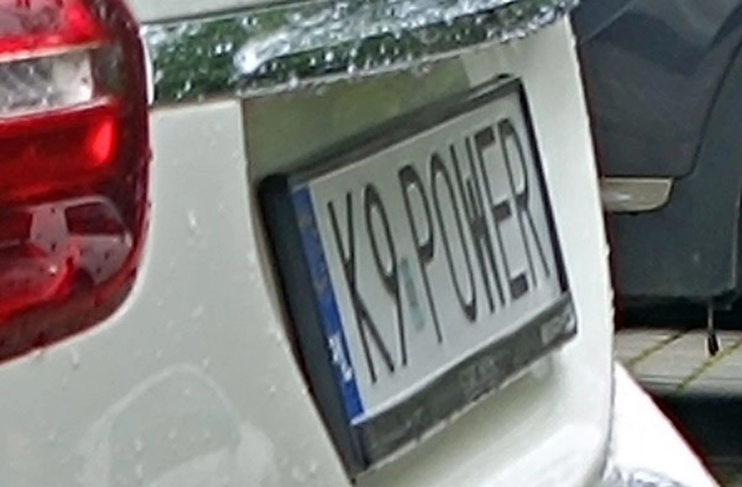 Fajny numer, blacha K9 POWER