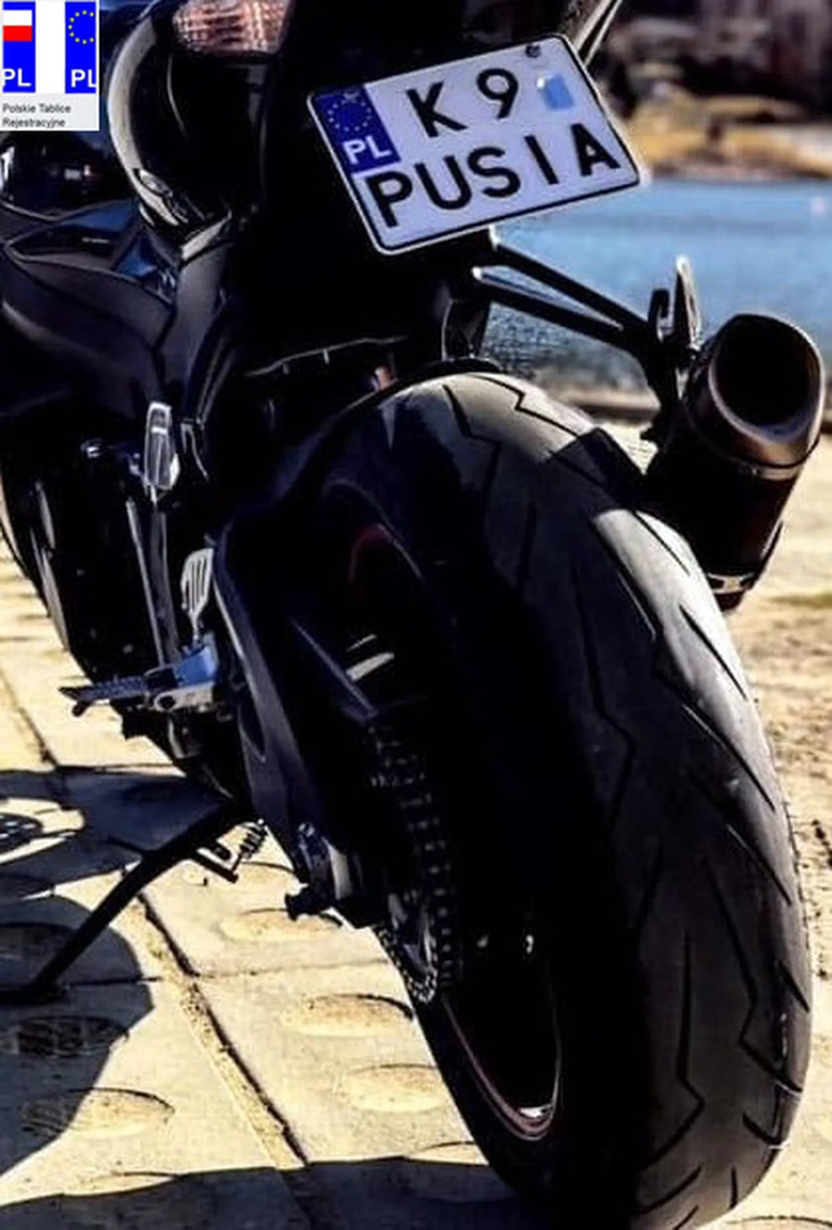 Fajny numer, blacha K9 PUSIA