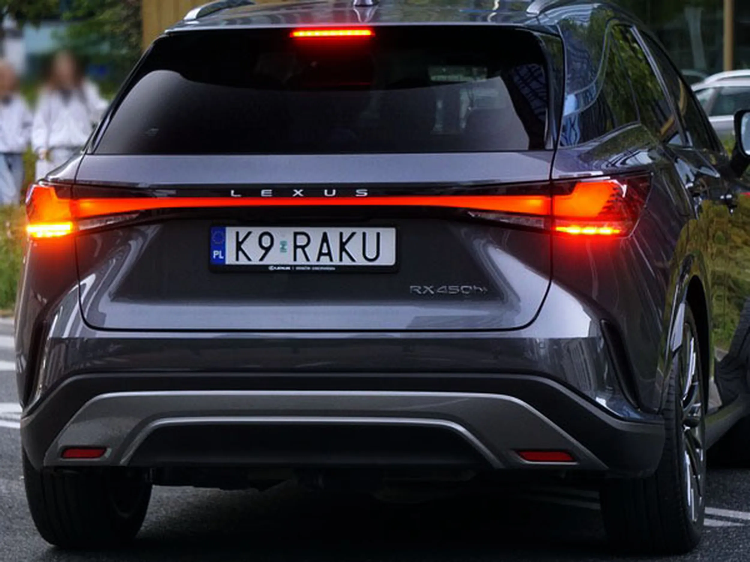 Fajny numer, blacha K9 RAKU