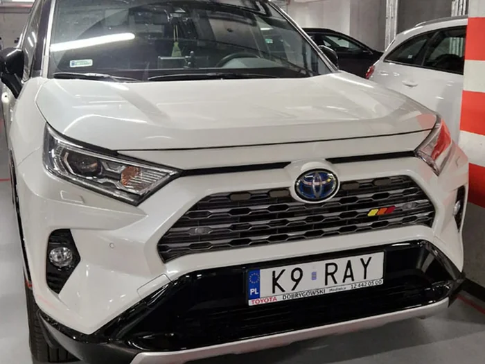 Fajny numer, blacha K9 RAY