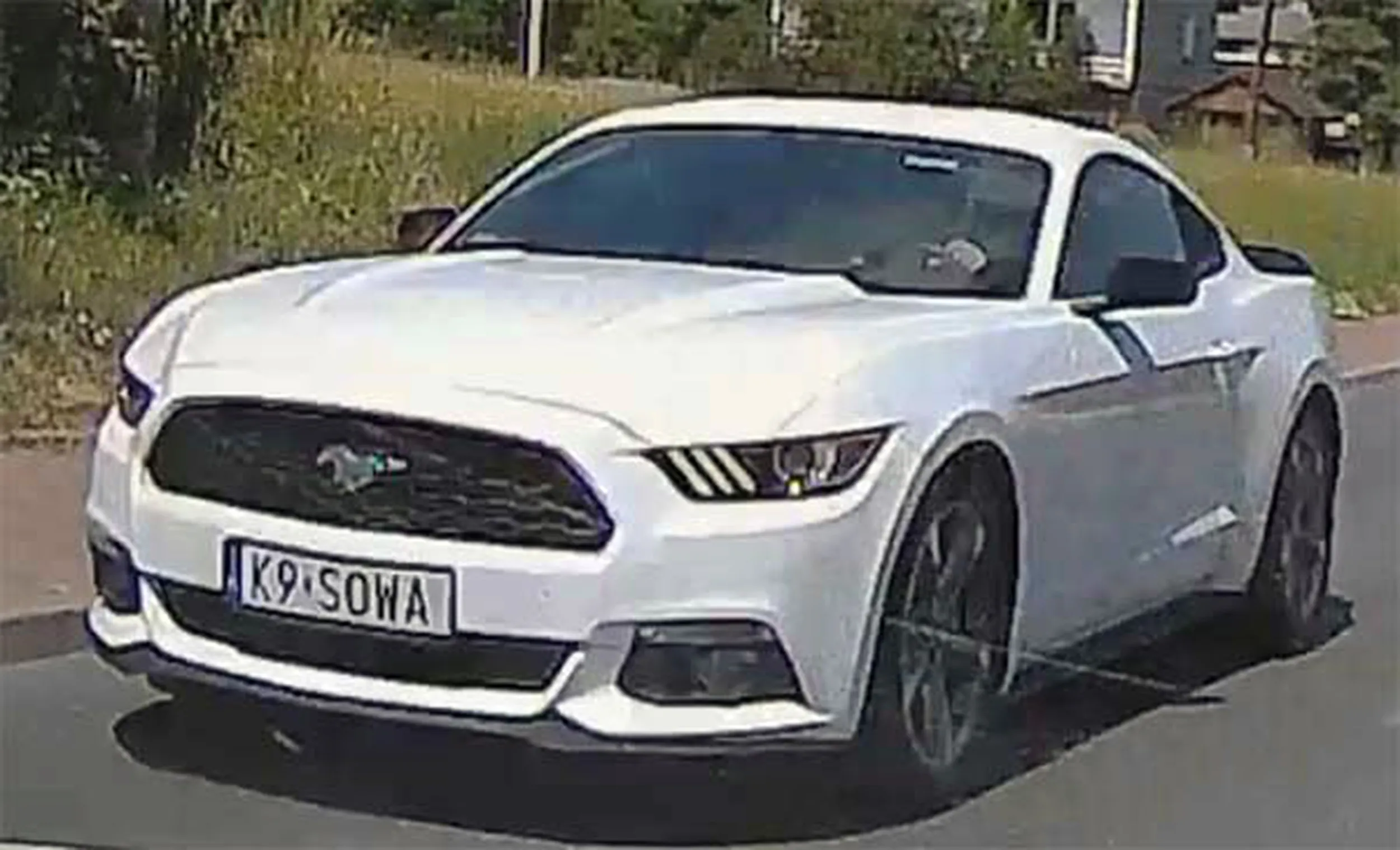 Fajny numer, blacha K9 SOWA