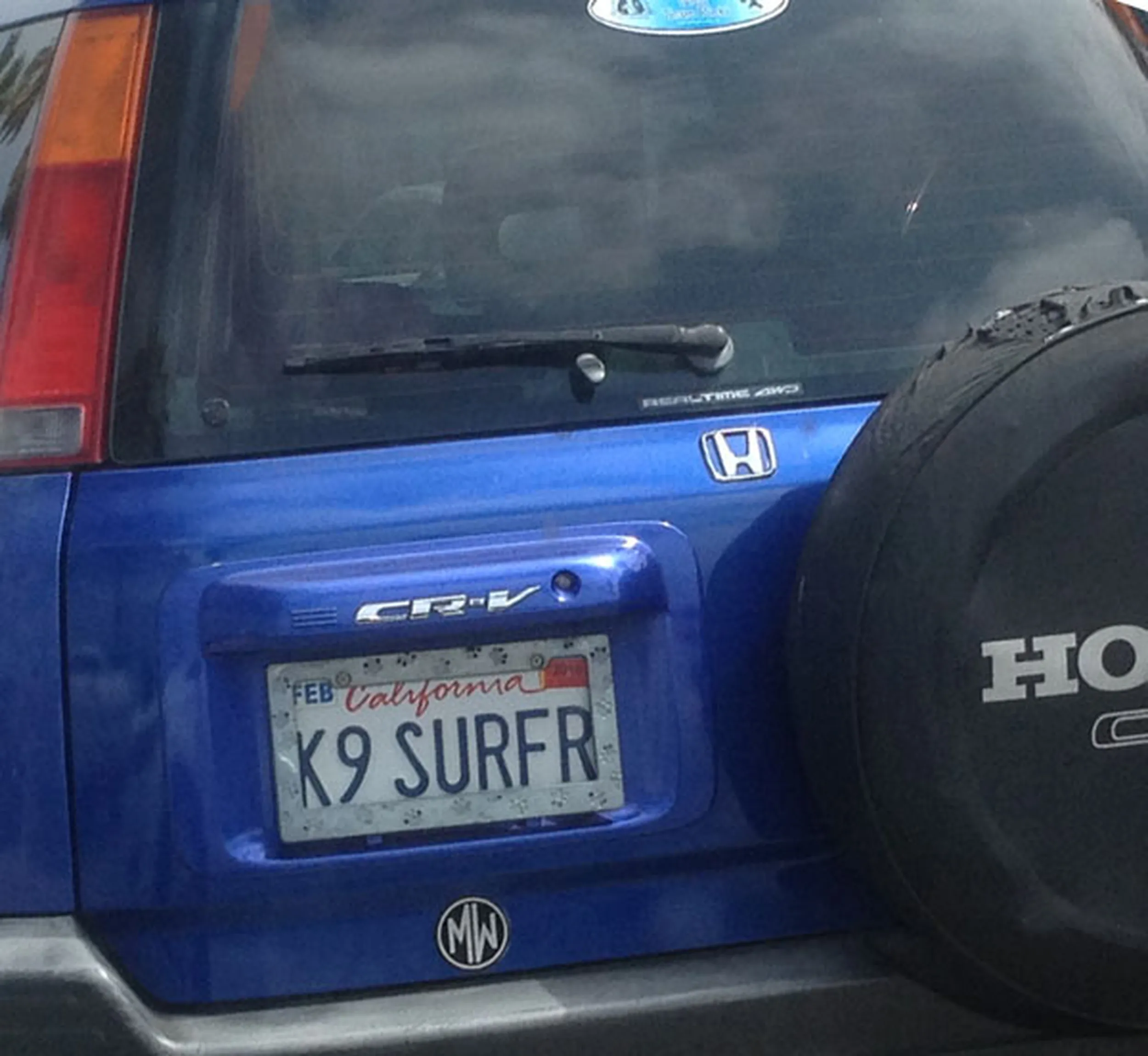 Fajny numer, blacha K9 SURFR