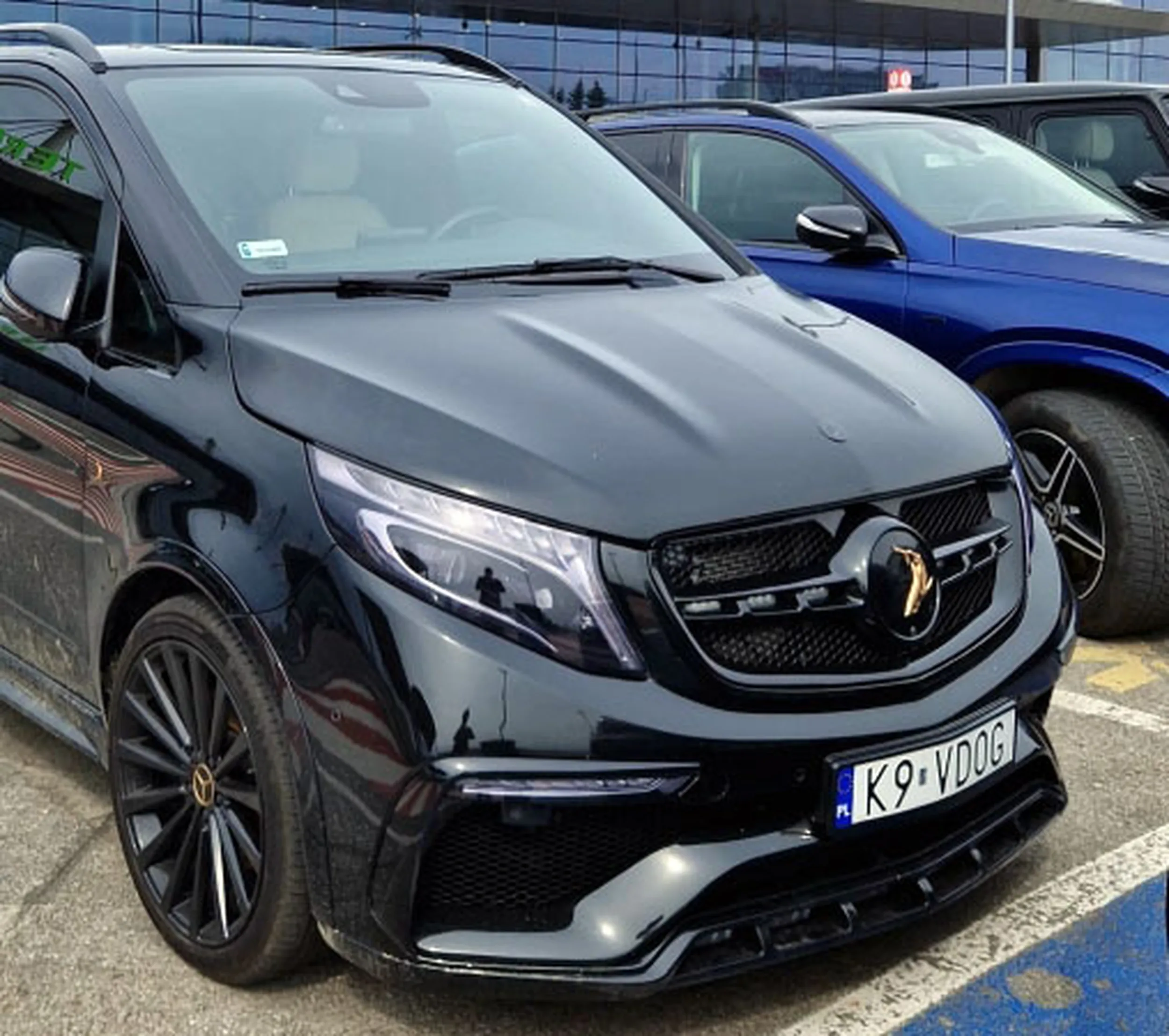 Fajny numer, blacha K9 VDOG