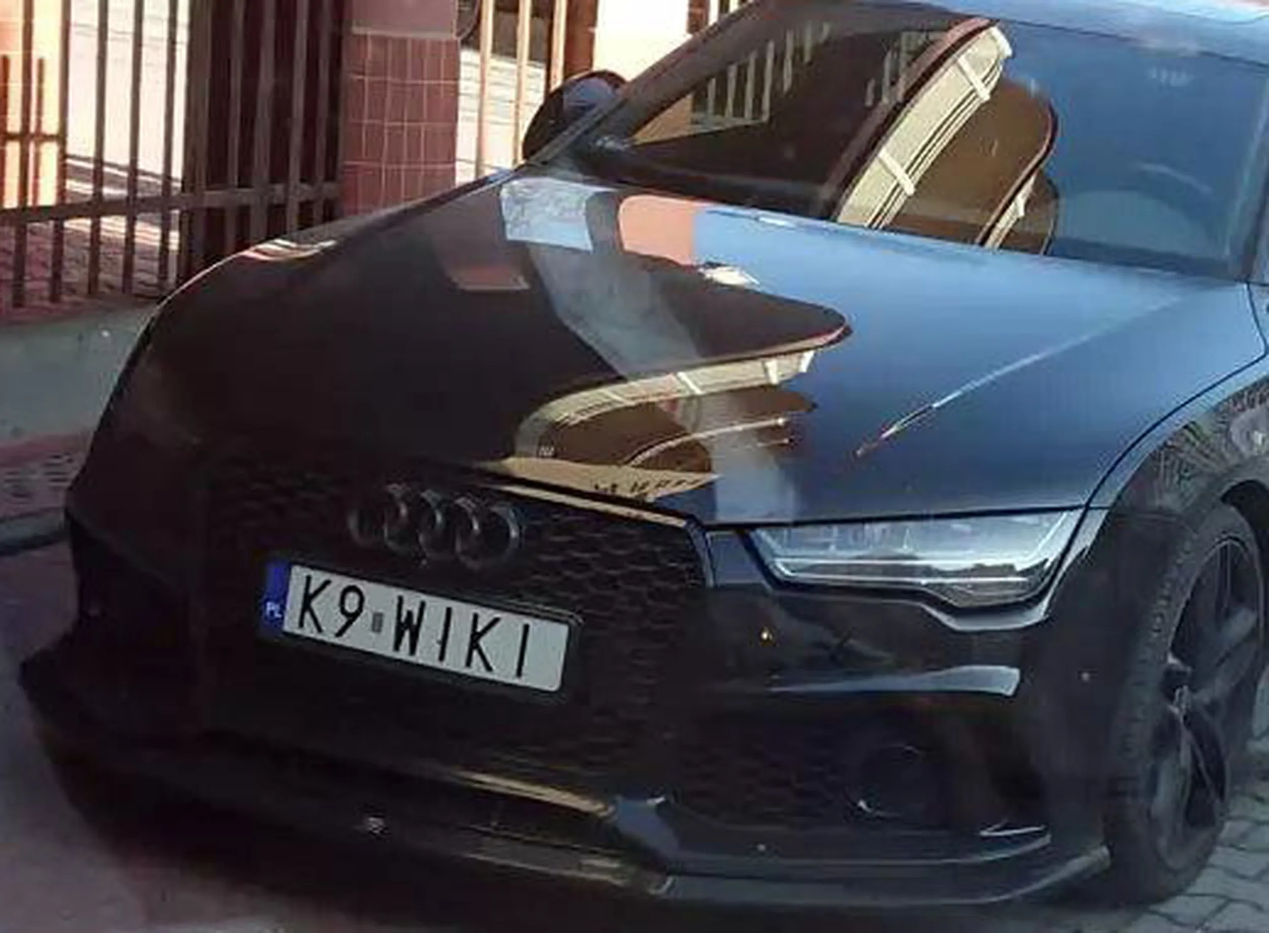 Fajny numer, blacha K9 WIKI