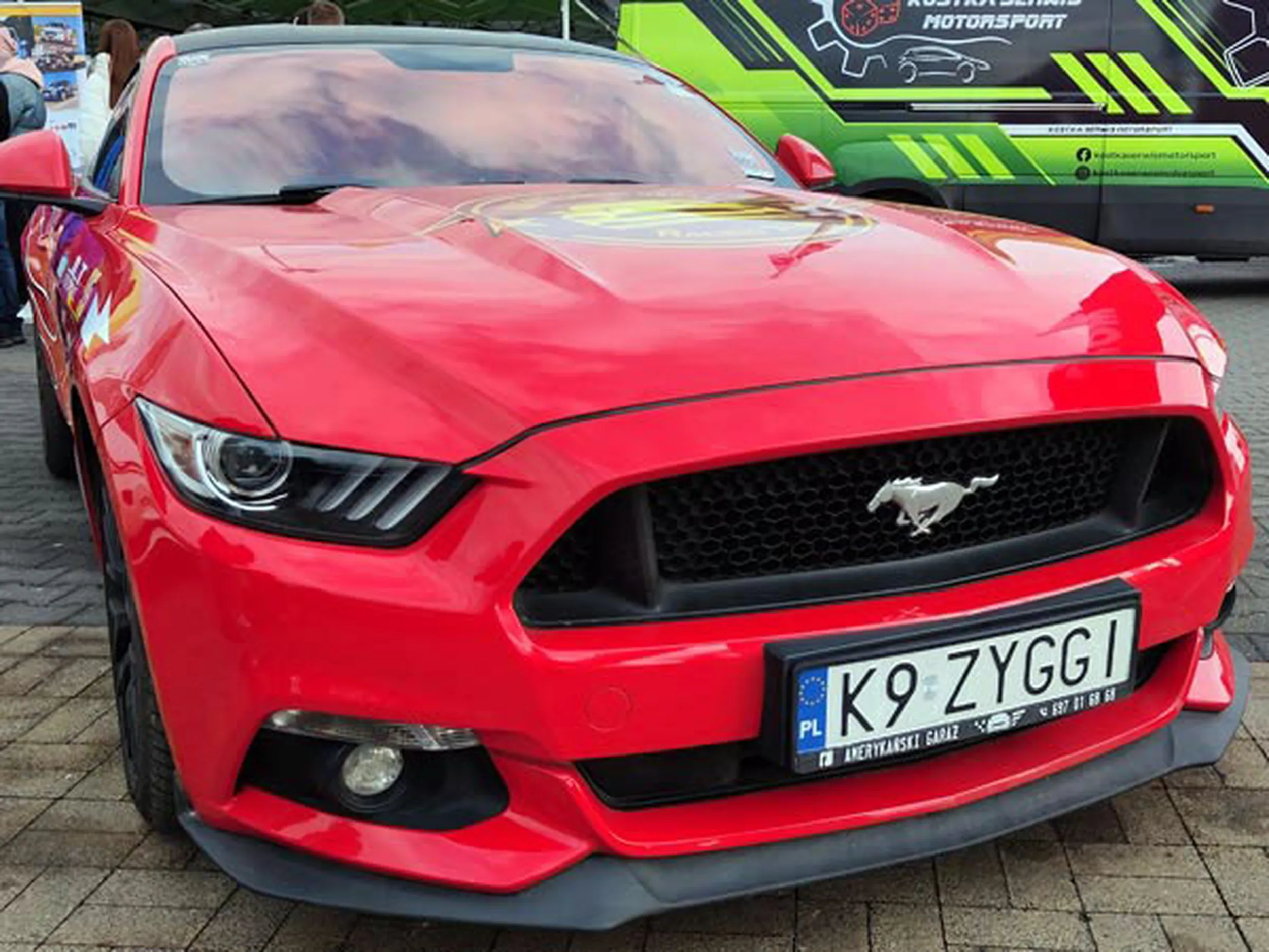 Fajny numer, blacha K9 ZYGGI