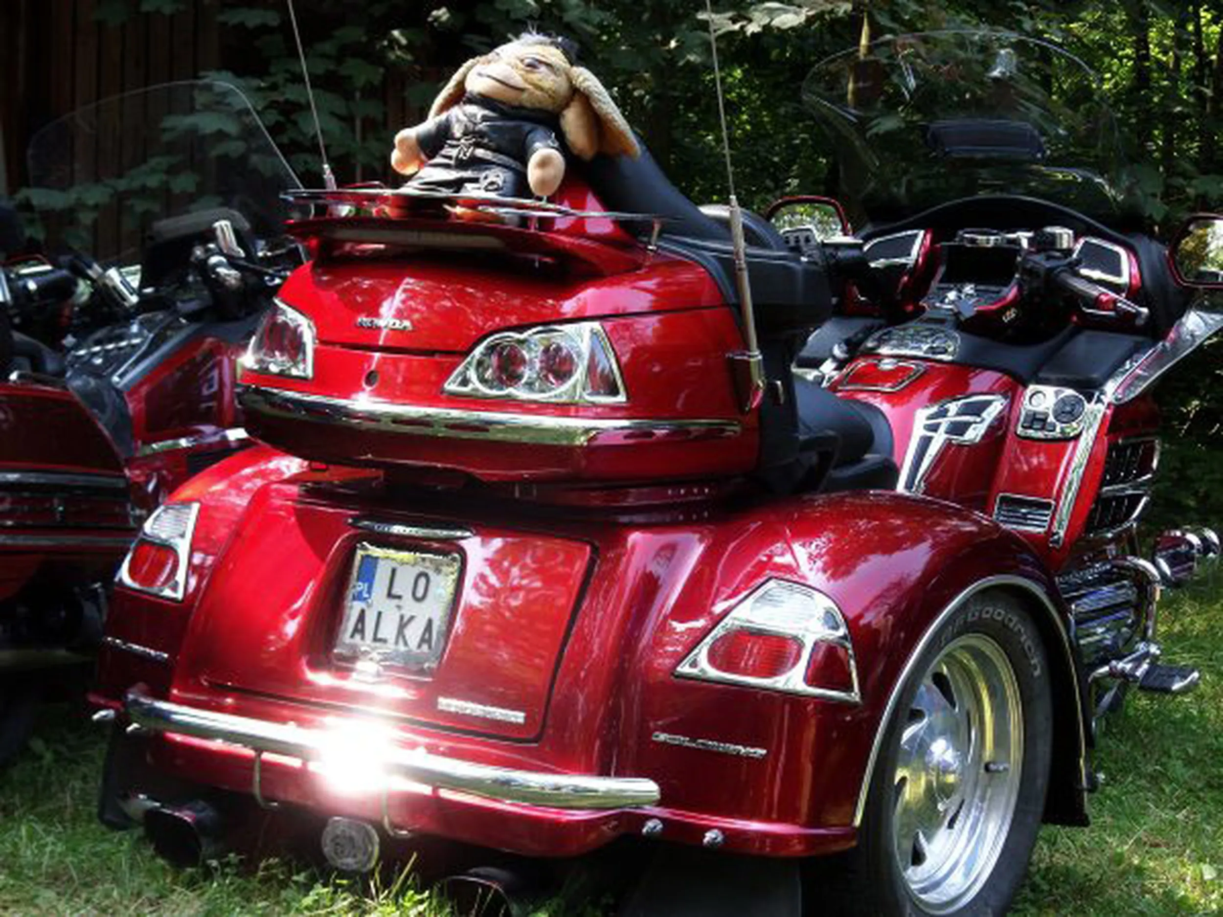 Fajny numer, blacha L0 ALKA