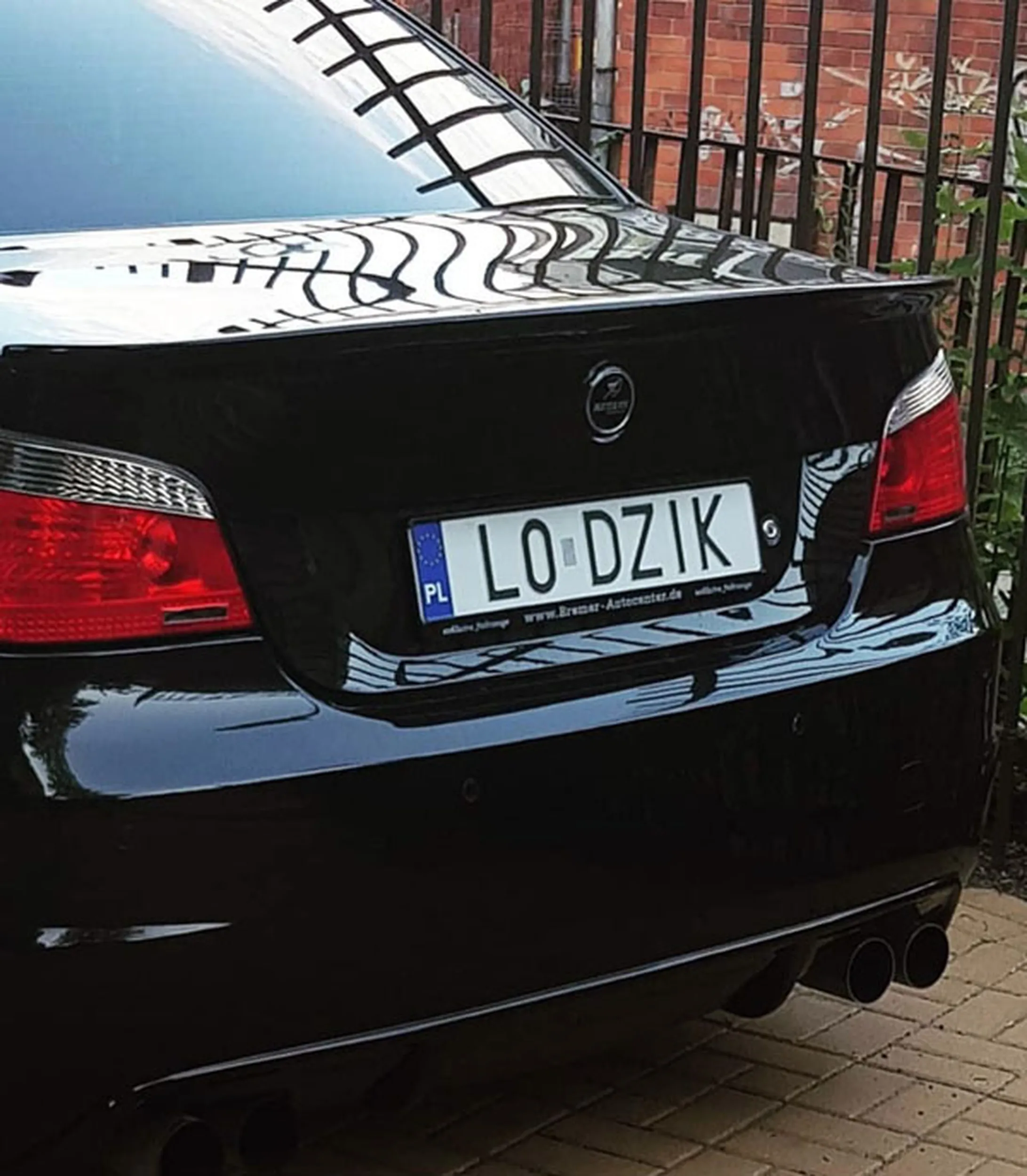 Fajny numer, blacha L0 DZIK