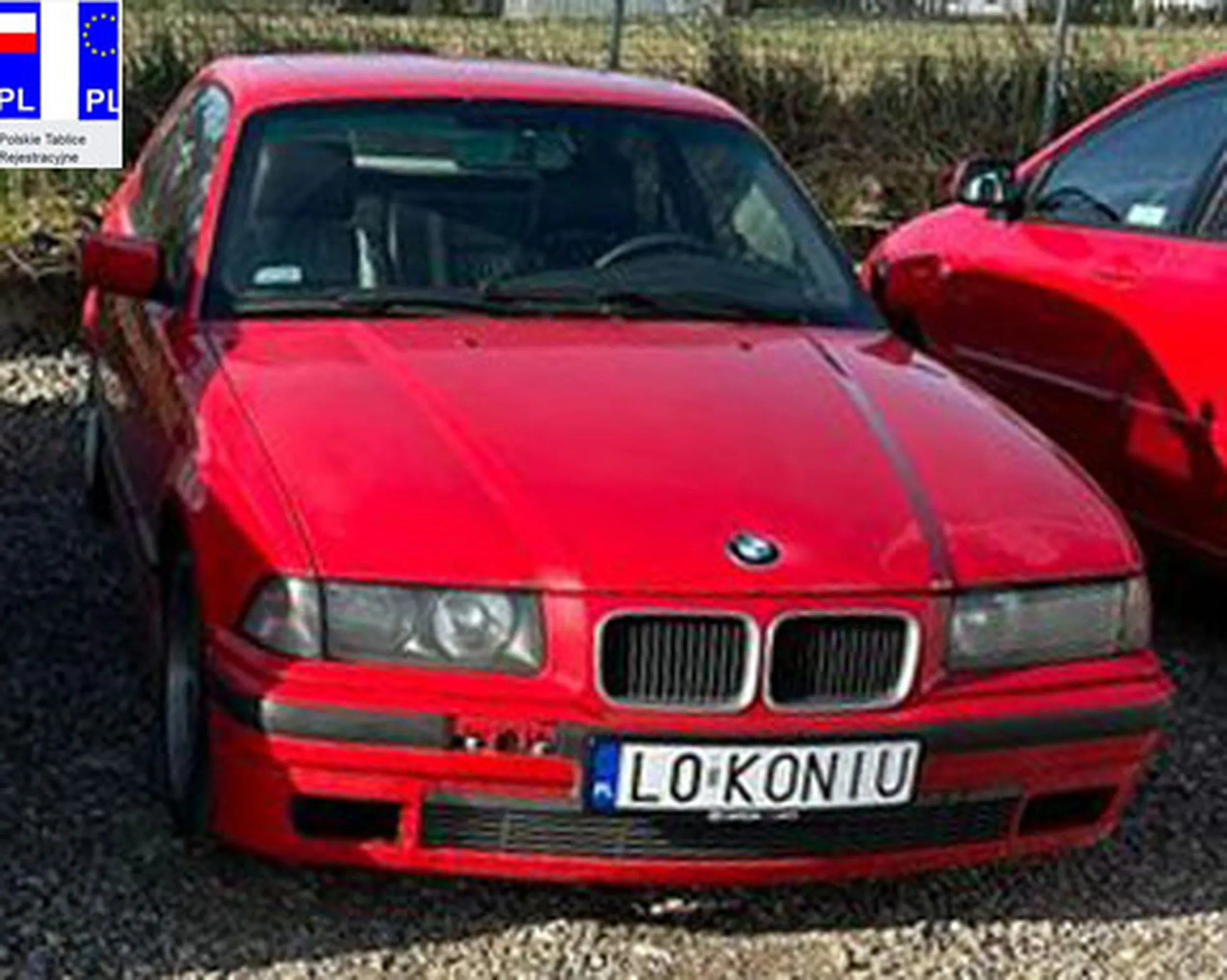 Fajny numer, blacha L0 KONIU