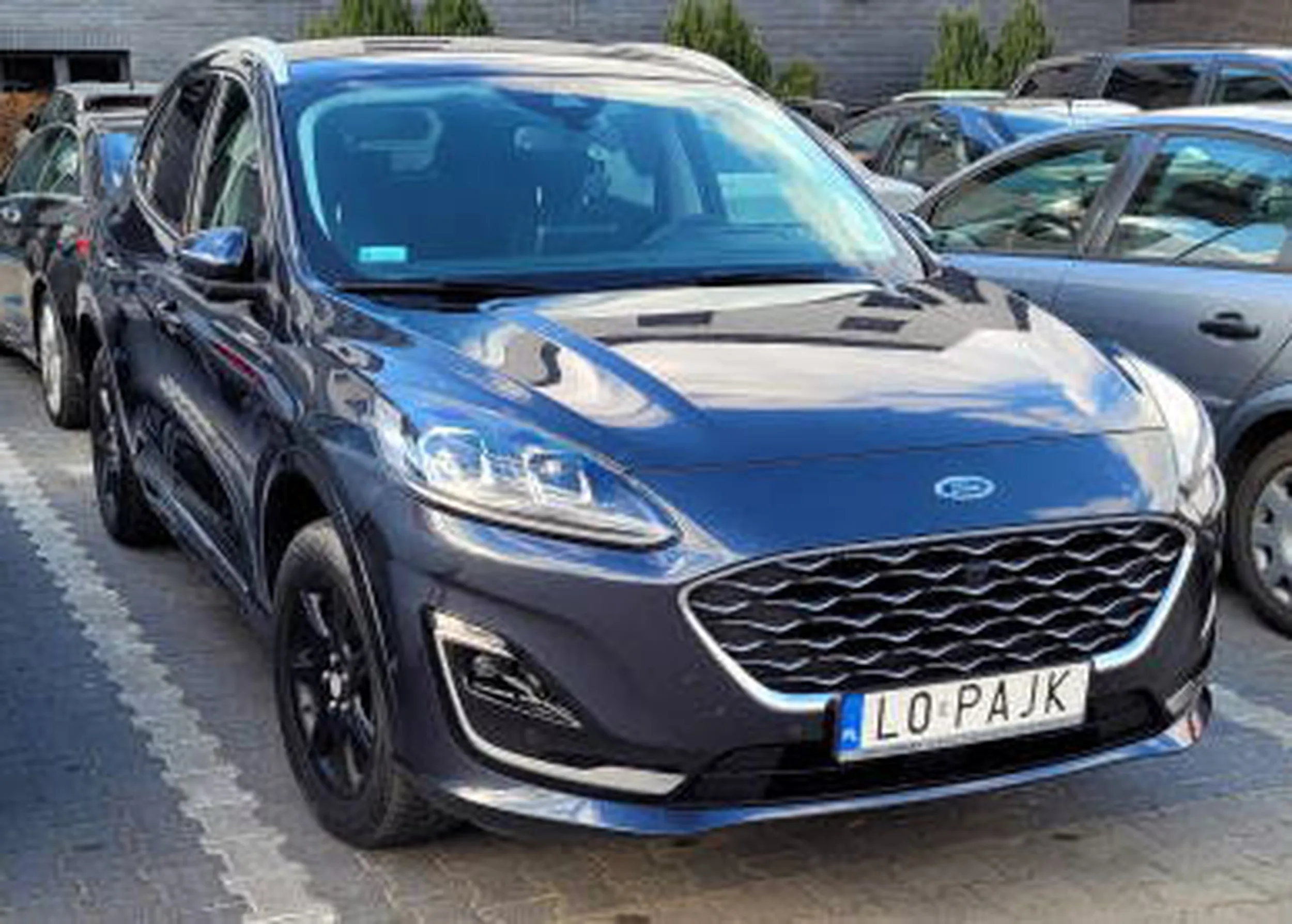 Fajny numer, blacha L0 PAJK