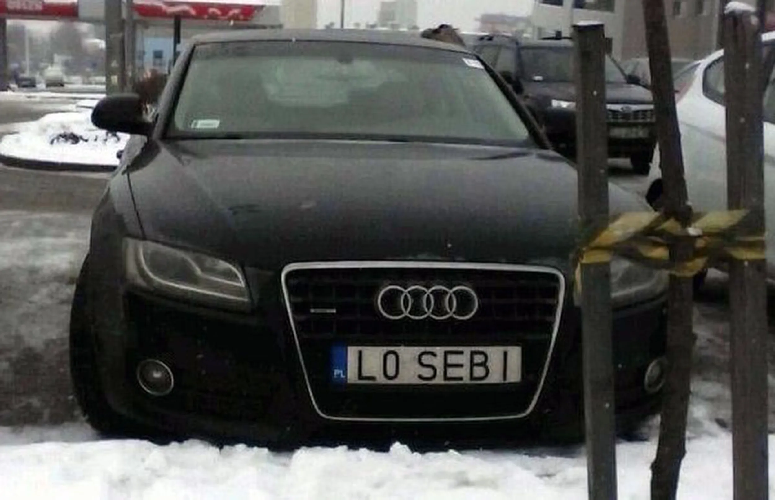 Fajny numer, blacha L0 SEBI