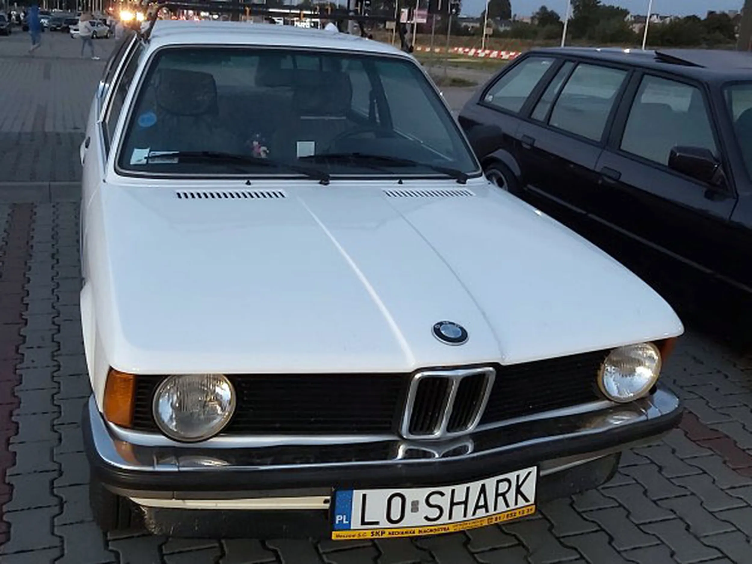 Fajny numer, blacha L0 SHARK