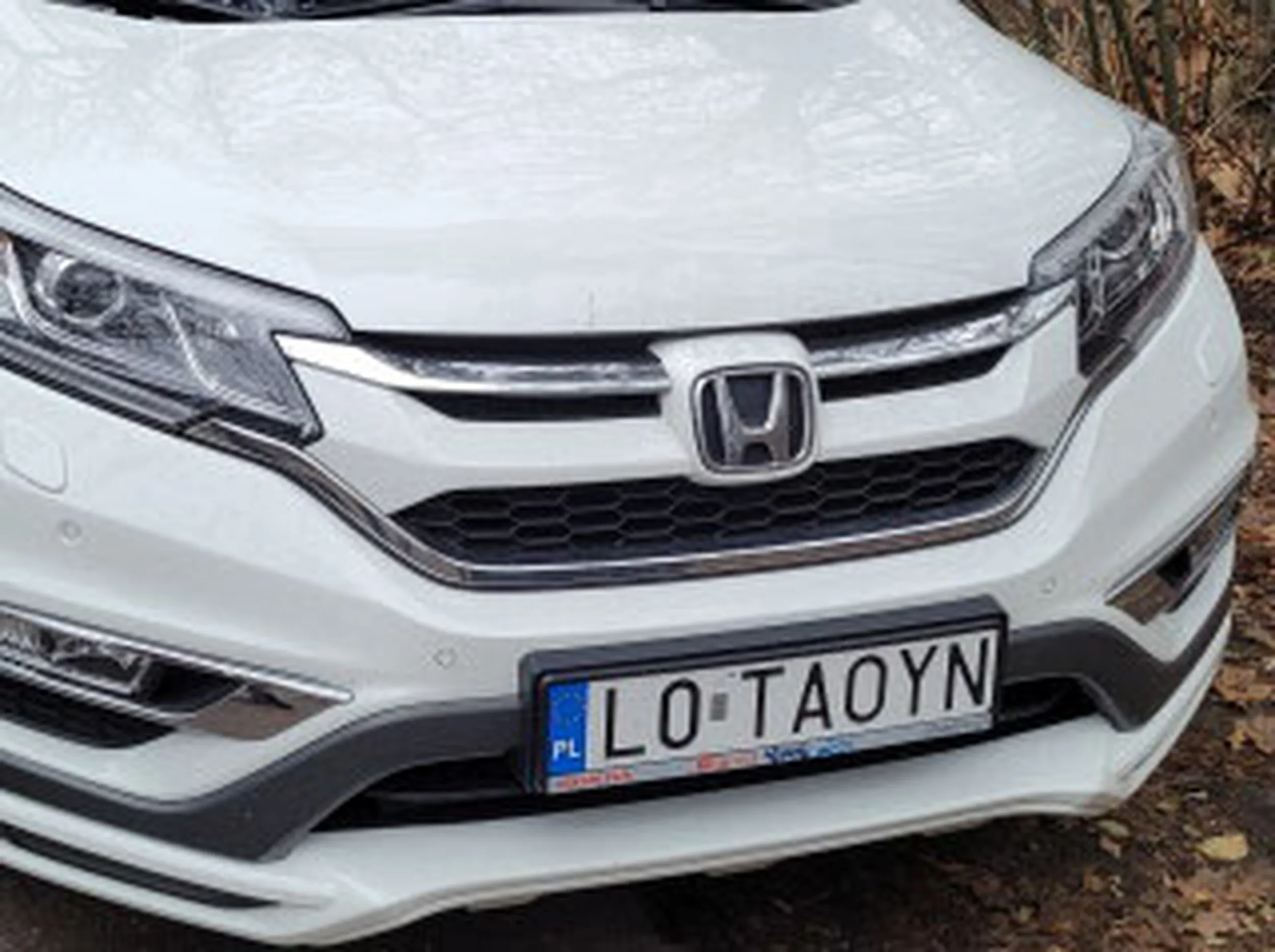 Fajny numer, blacha L0 TAOYN