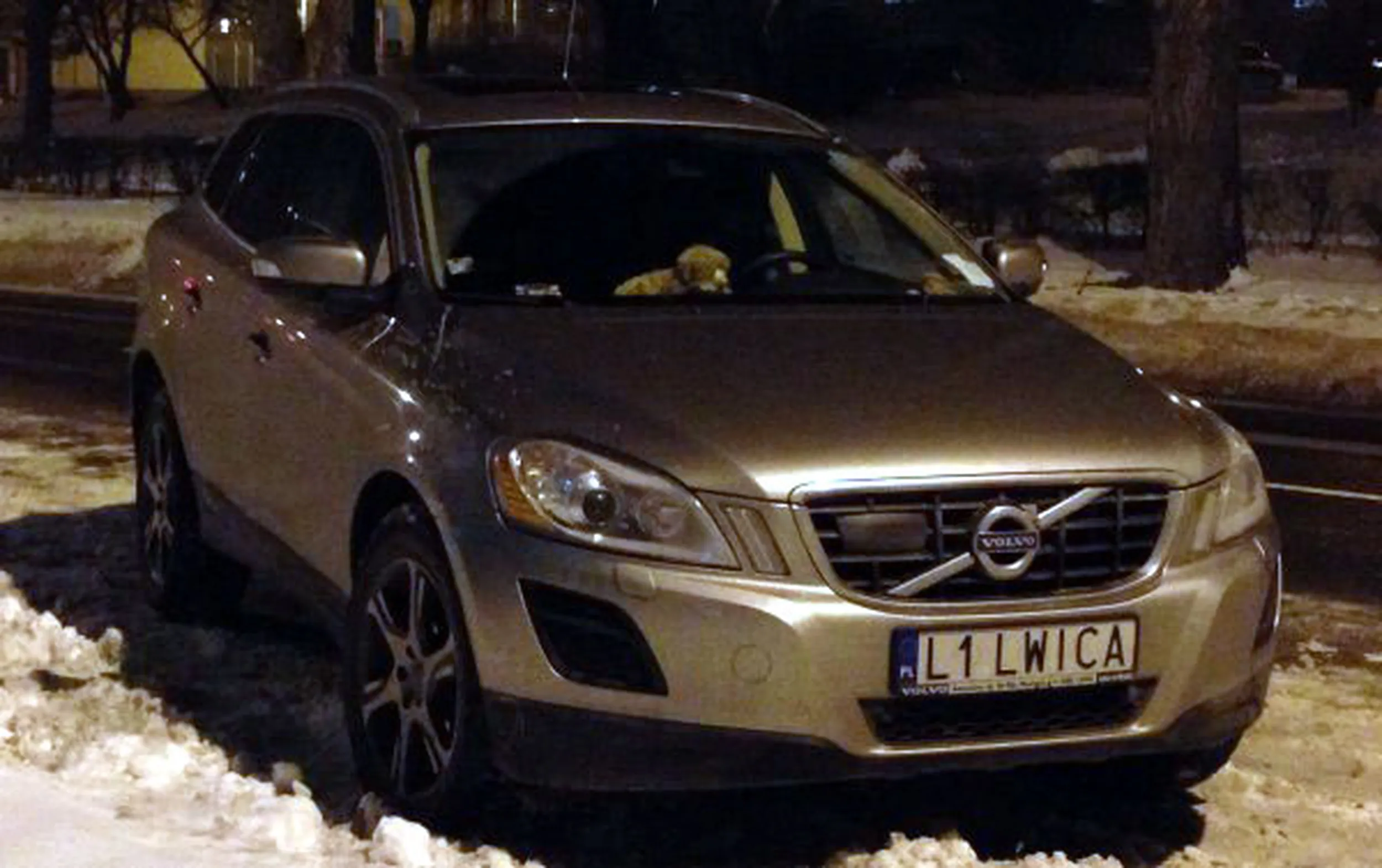 Fajny numer, blacha L1 LWICA