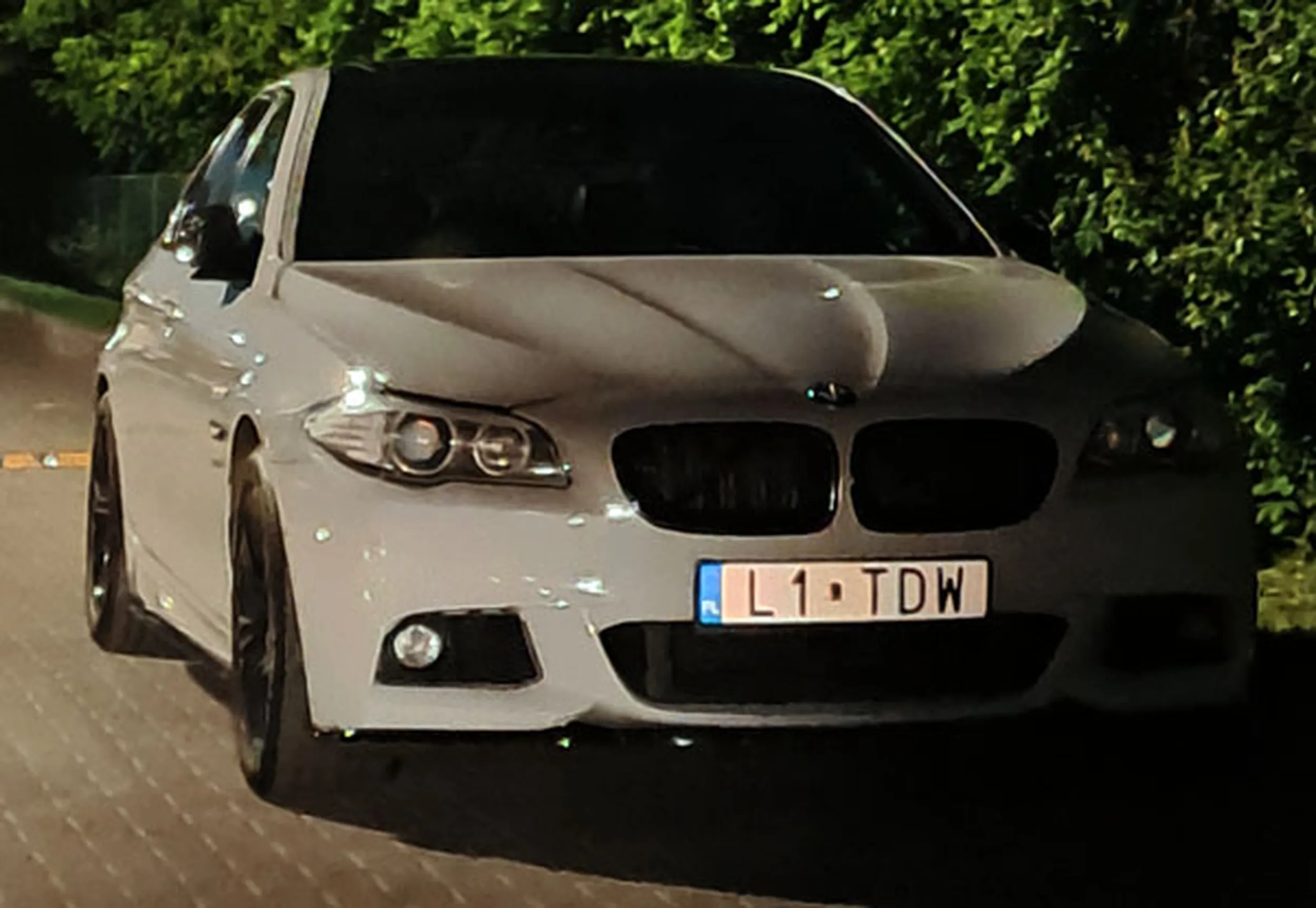 Fajny numer, blacha L1 TDW