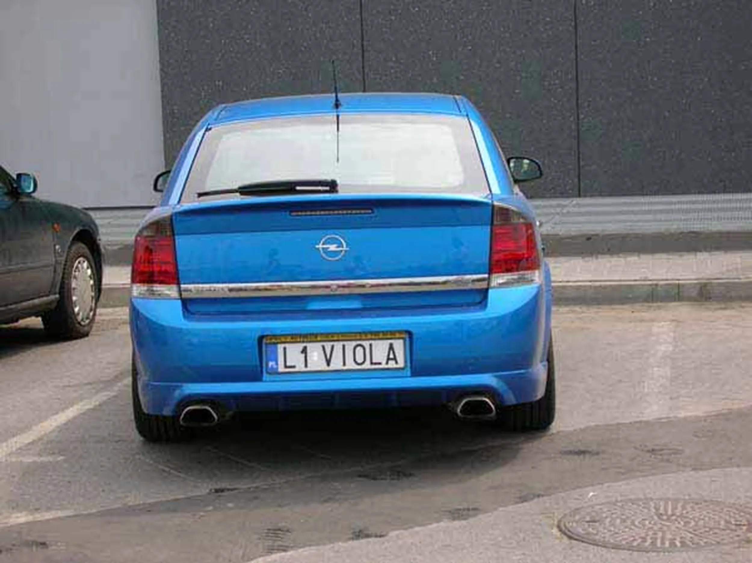 Fajny numer, blacha L1 VIOLA