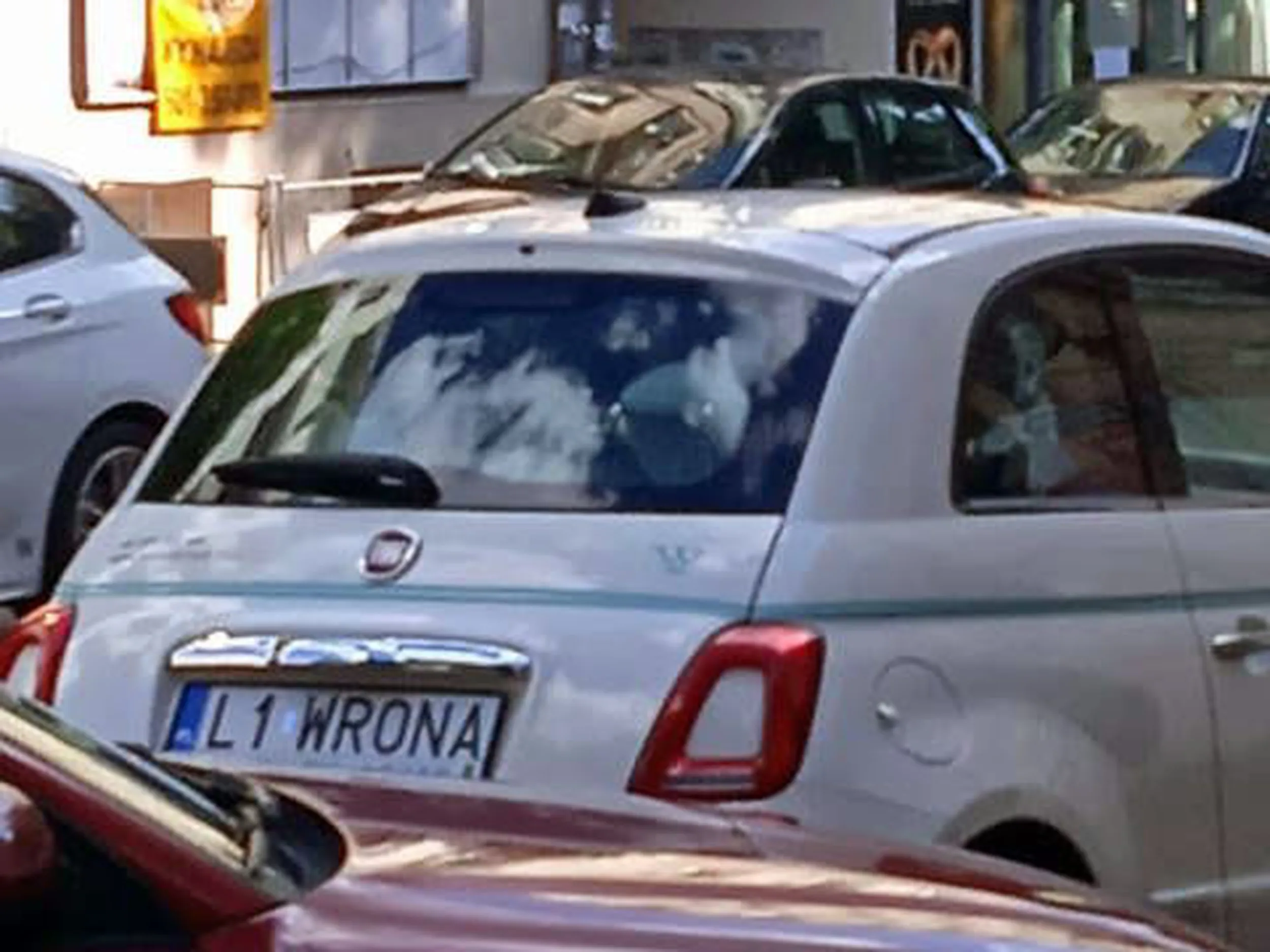 Fajny numer, blacha L1 WRONA