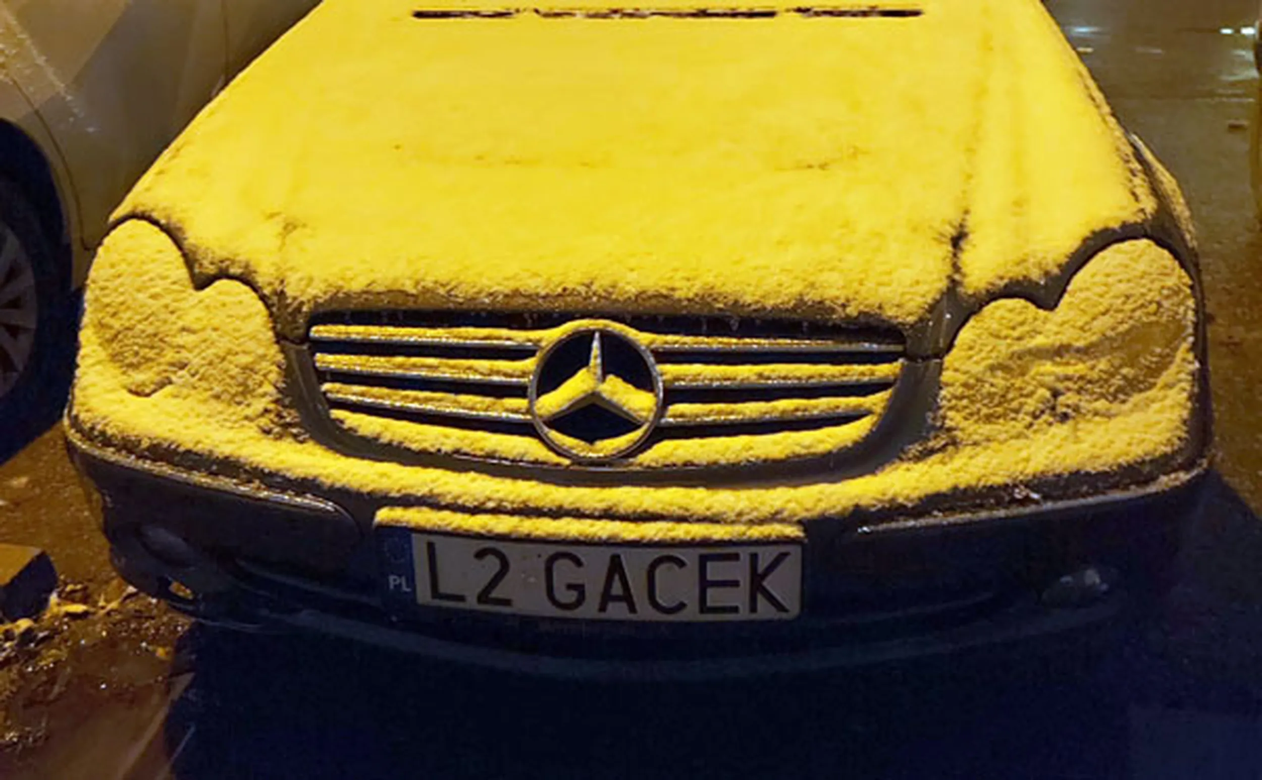 Fajny numer, blacha L2 GACEK