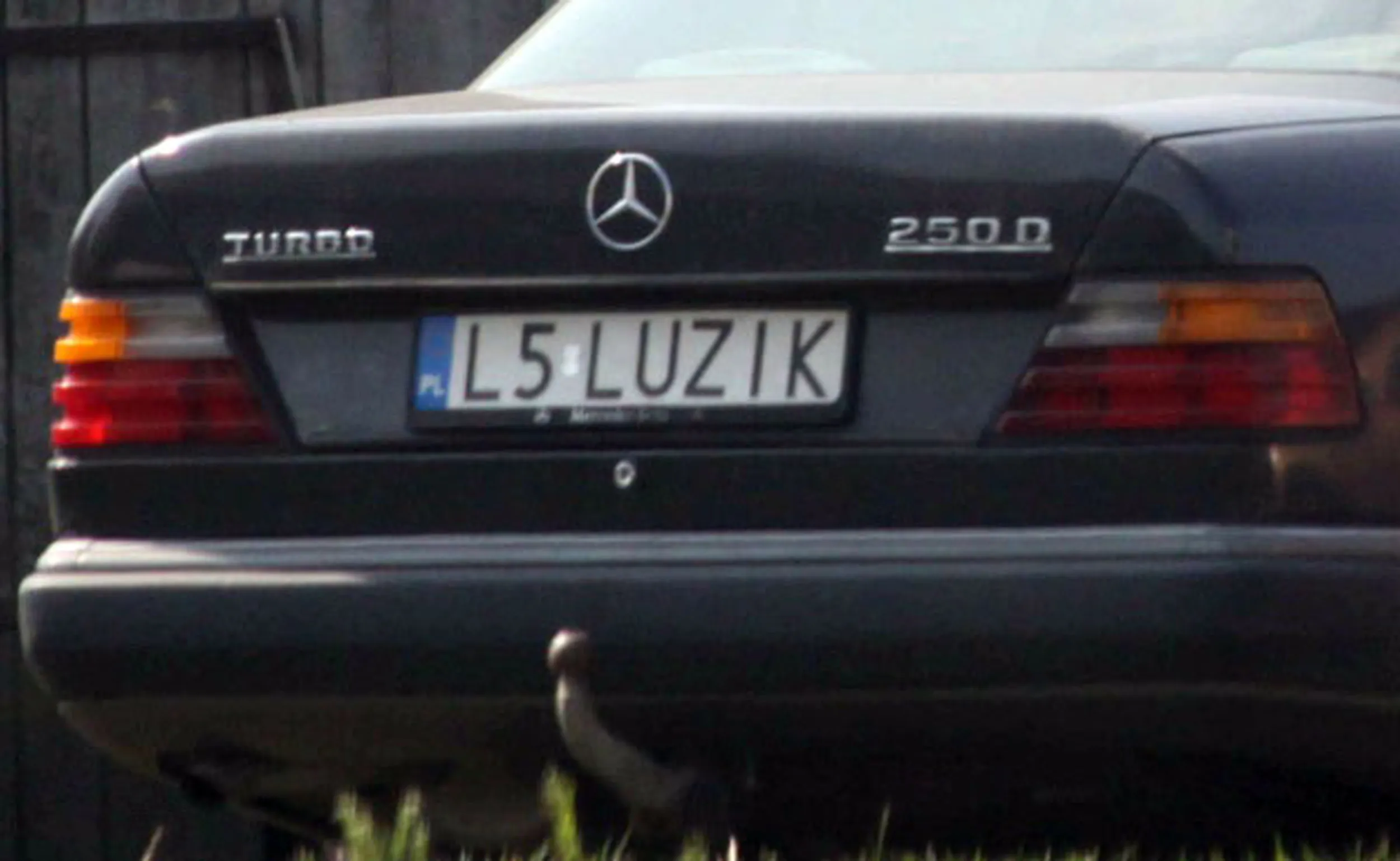 Fajny numer, blacha L5 LUZIK